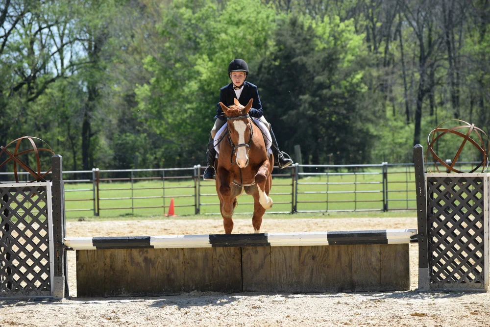 About — Arkansas Hunter Jumper Association