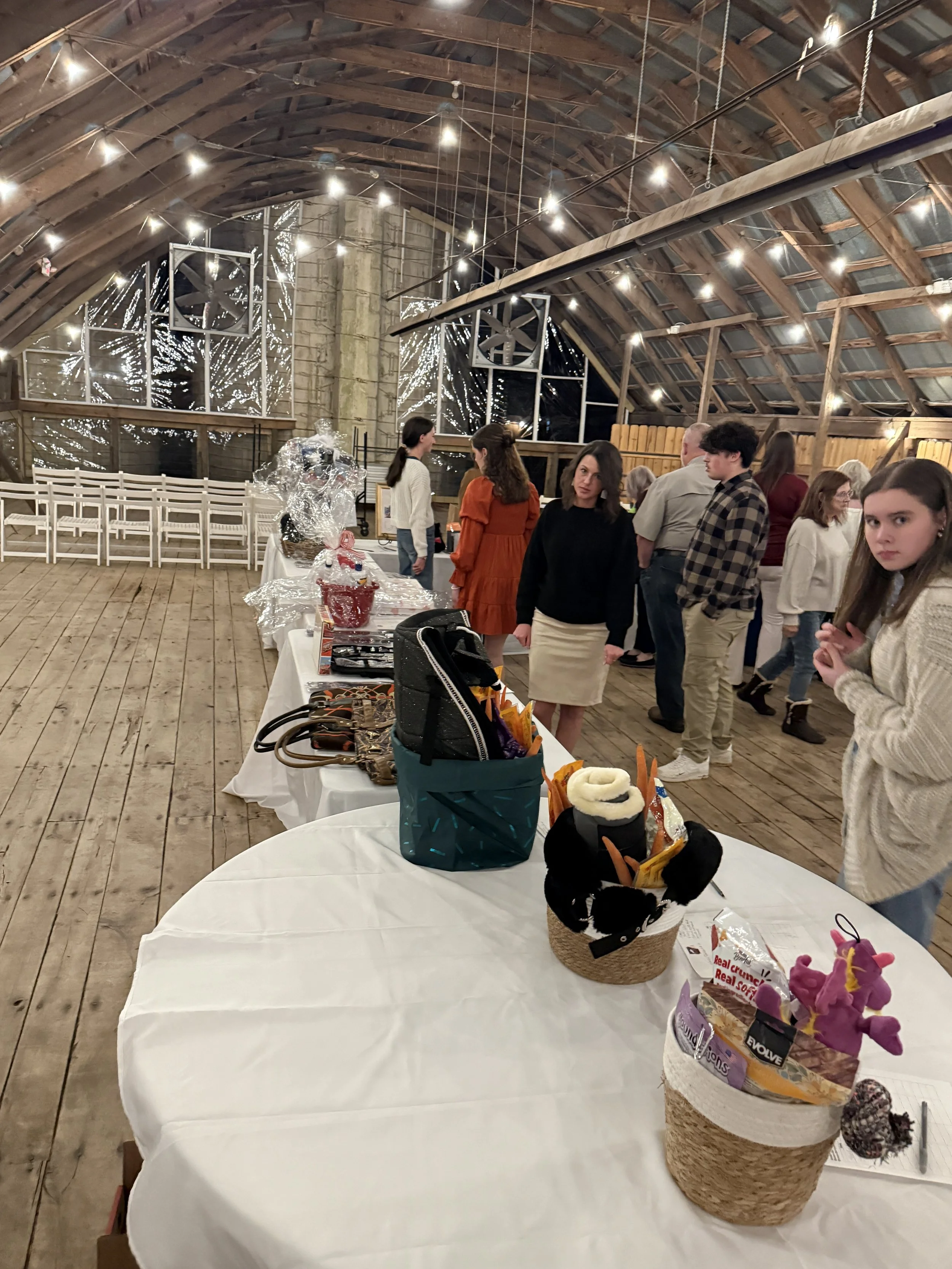 2025 AHJA silent auction