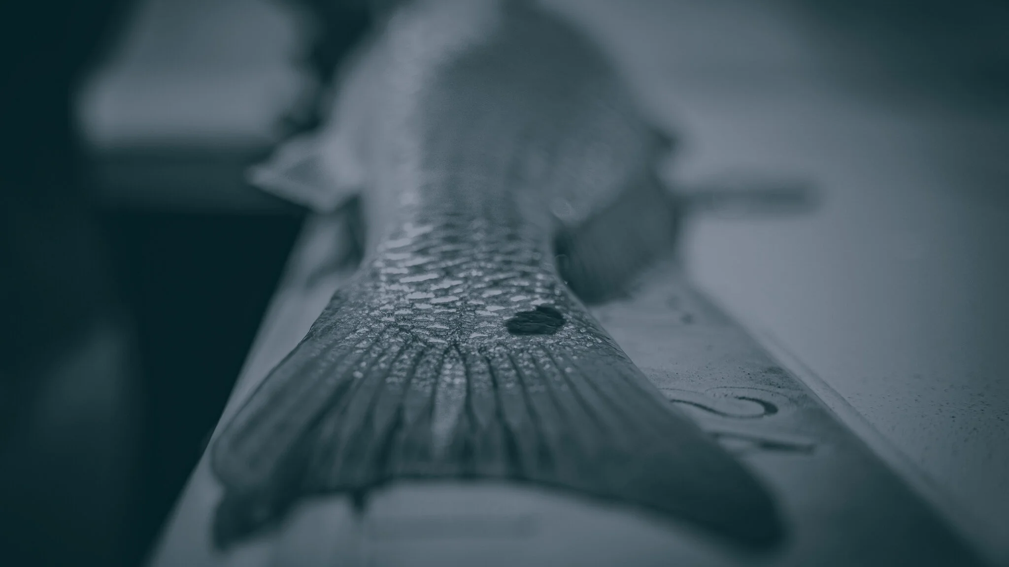 About — Flats Class TV