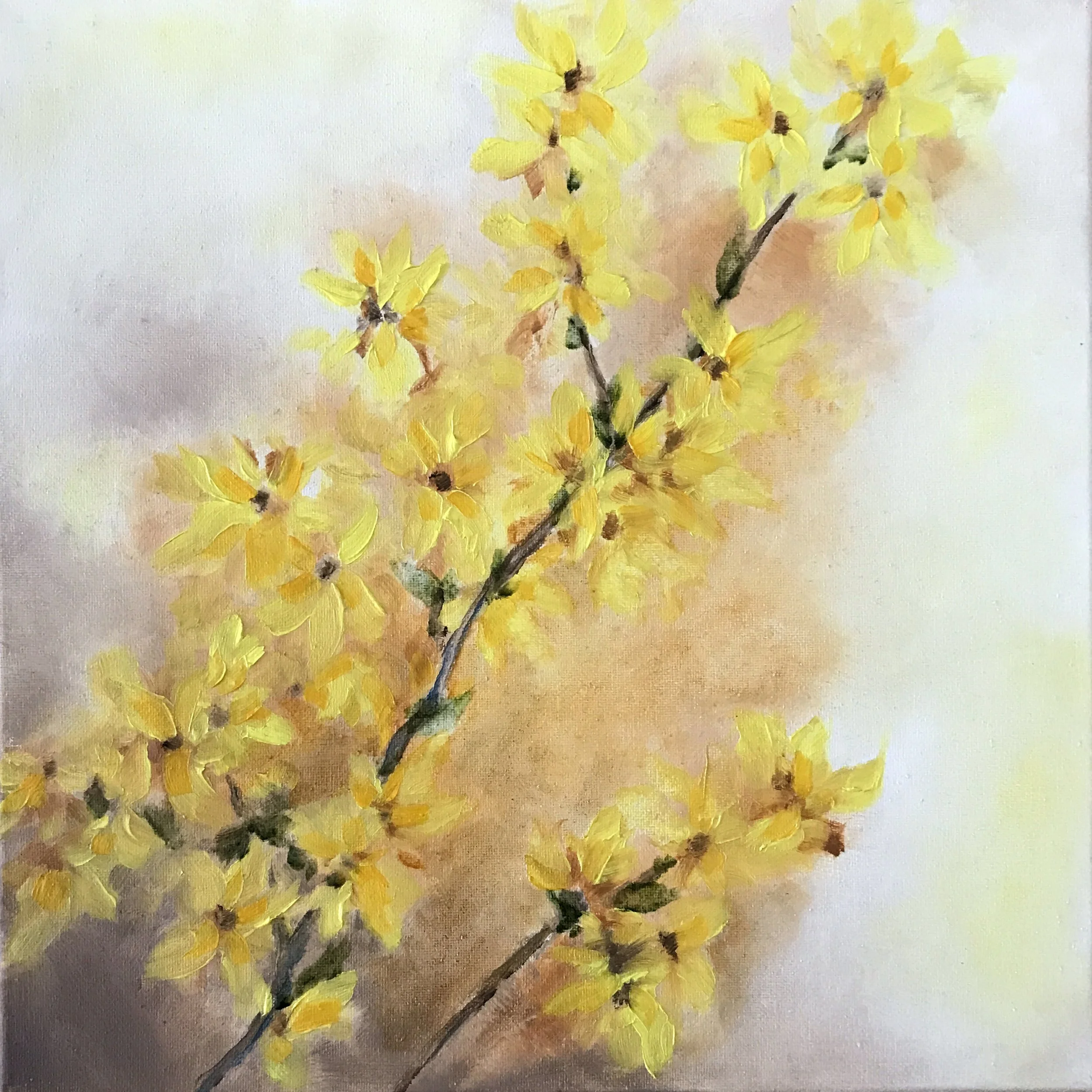 Gleam  14" x 14"  Oil on Canvas