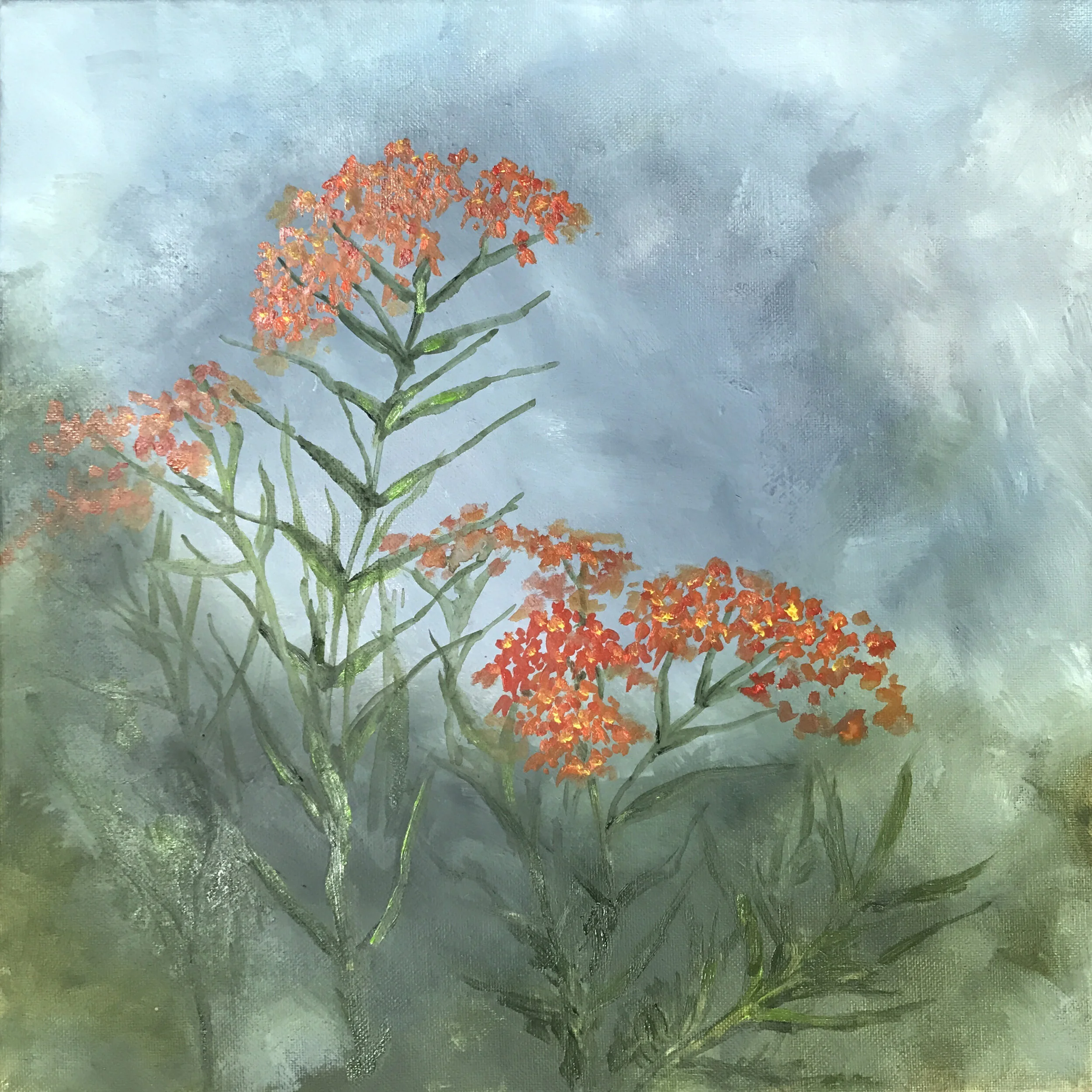 Butterfly Weed
14" x 14" Oil on Canvas
