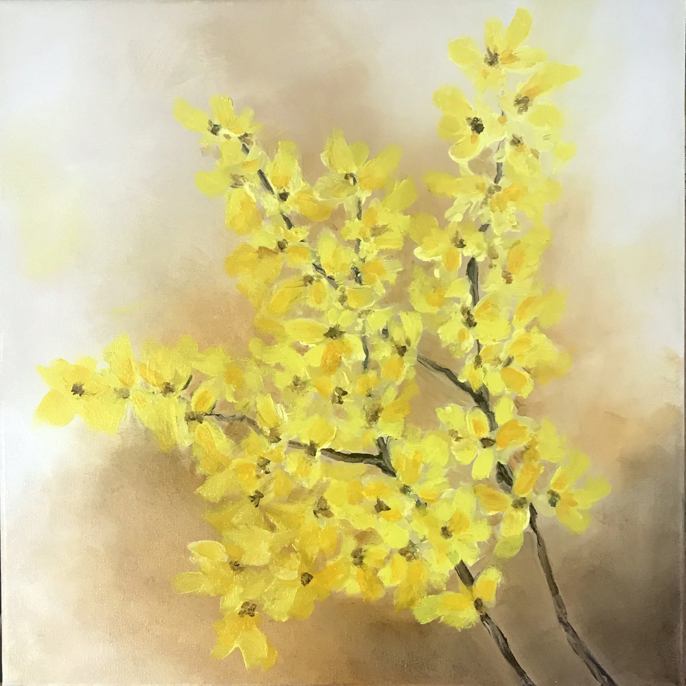 Forsythia  14" x 14"  Oil on Canvas SOLD