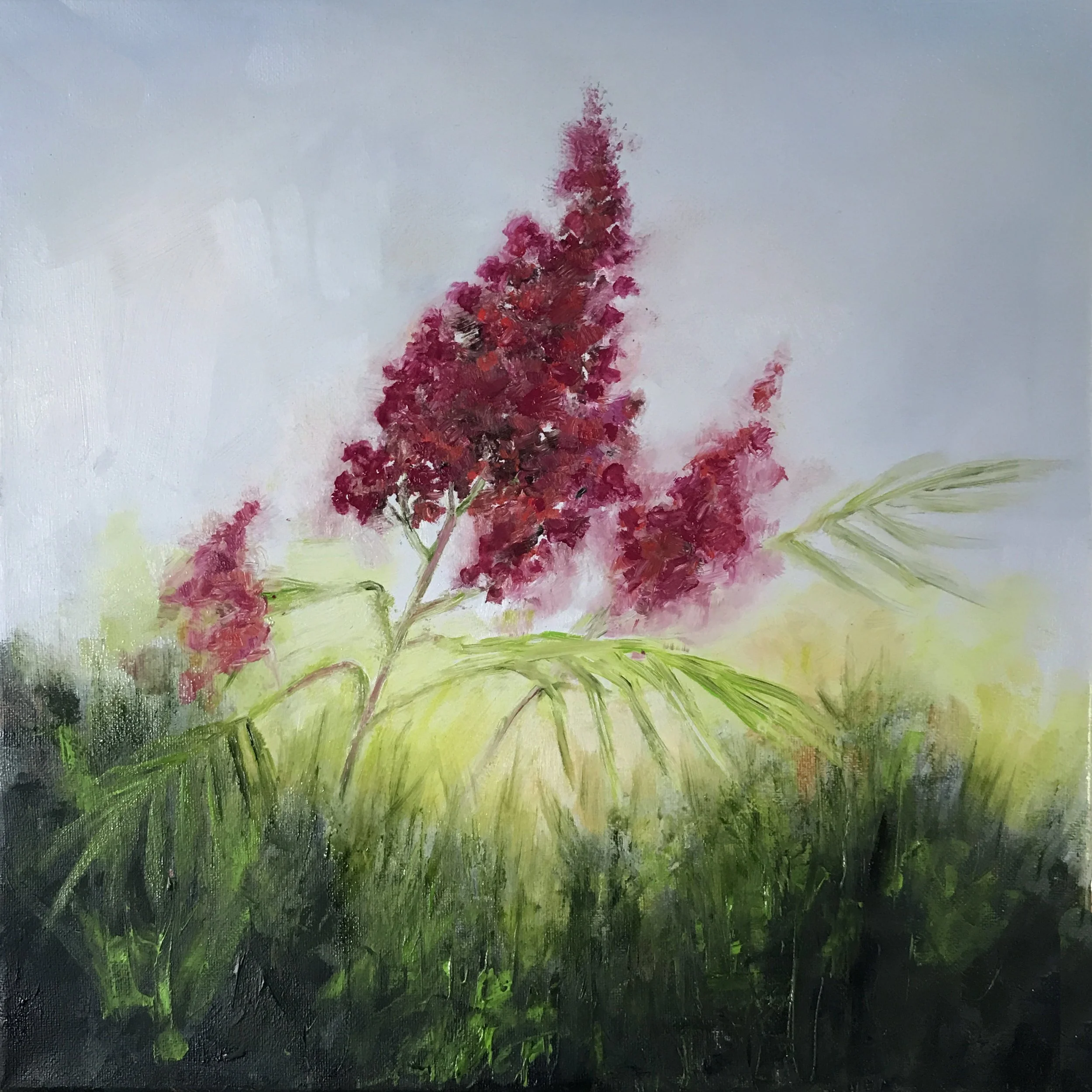 Sumac (1) 14" x 14"  Oil on Canvas