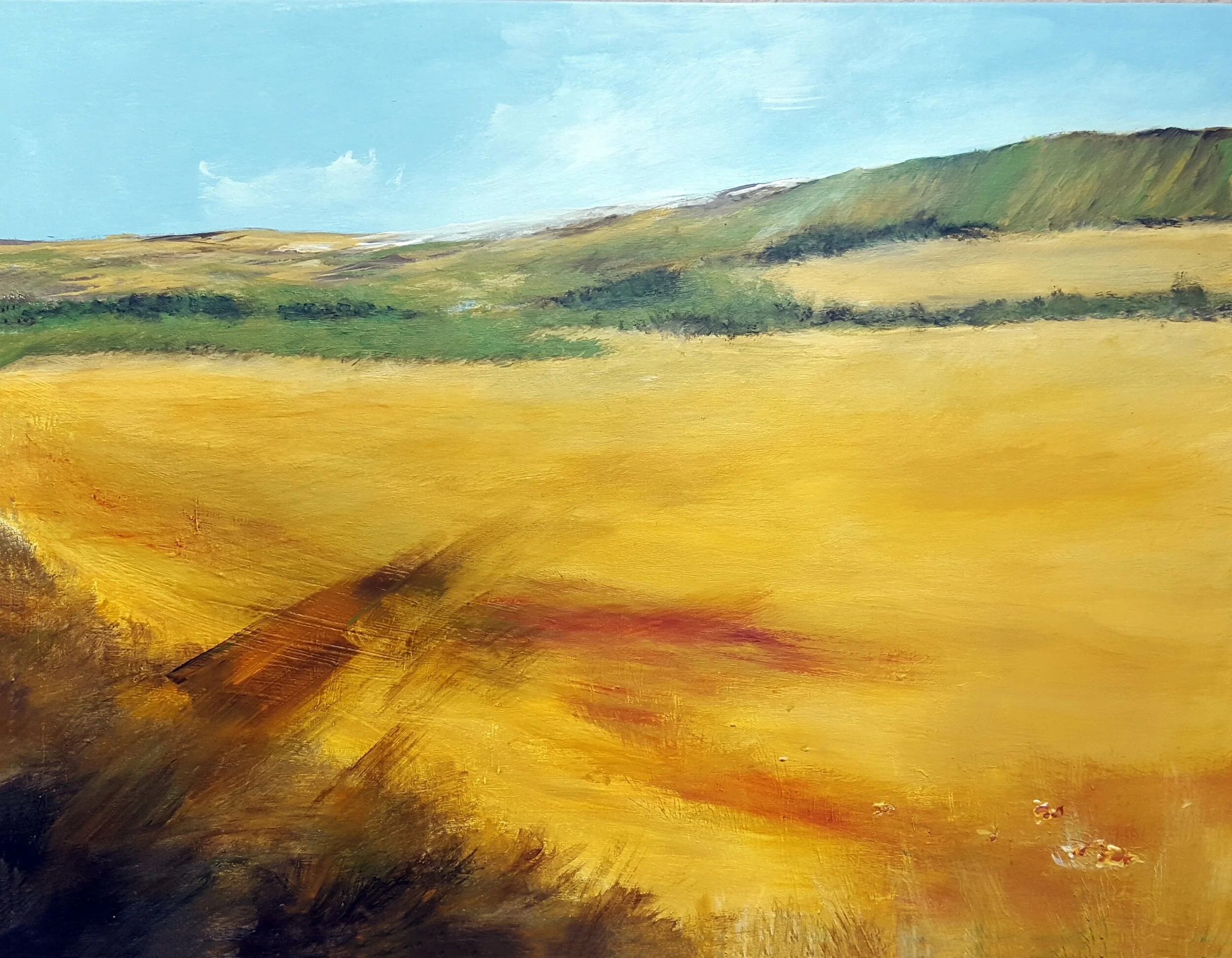 Glorious June in Provence
16" x 20" Acrylic on Canvas