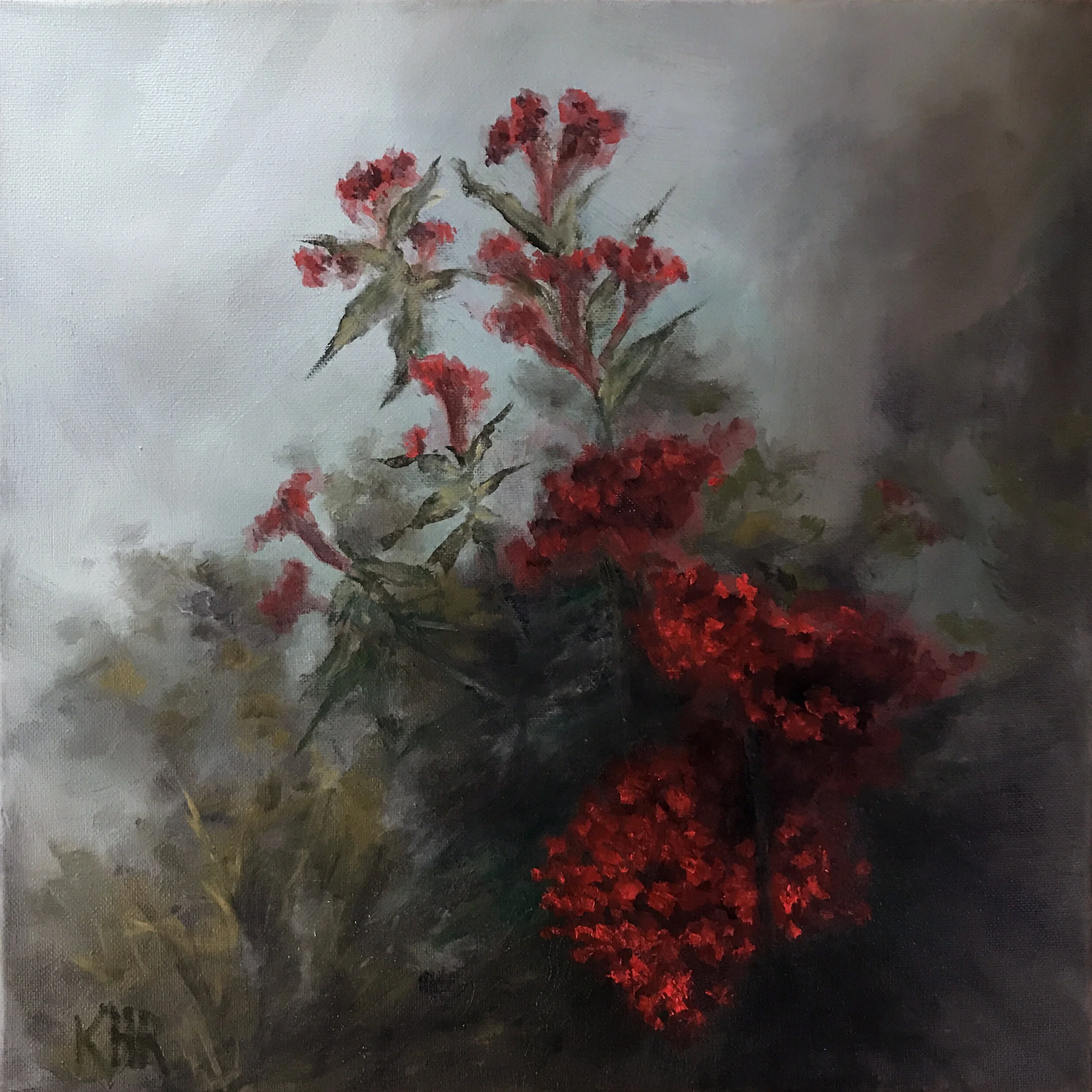 Cockscomb
14" x 14" Oil on Canvas SOLD