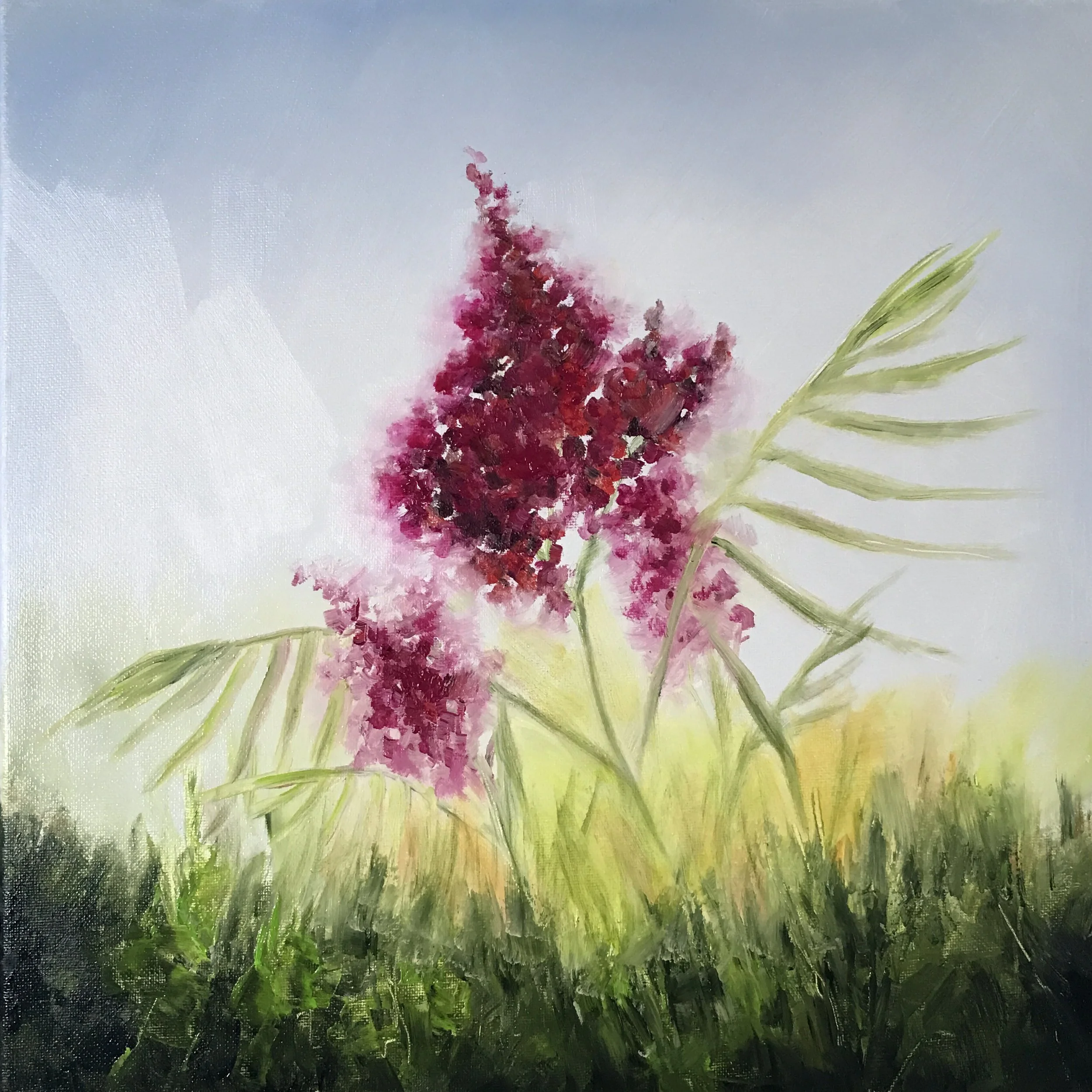 Sumac (2) 14" x 14"  Oil on Canvas