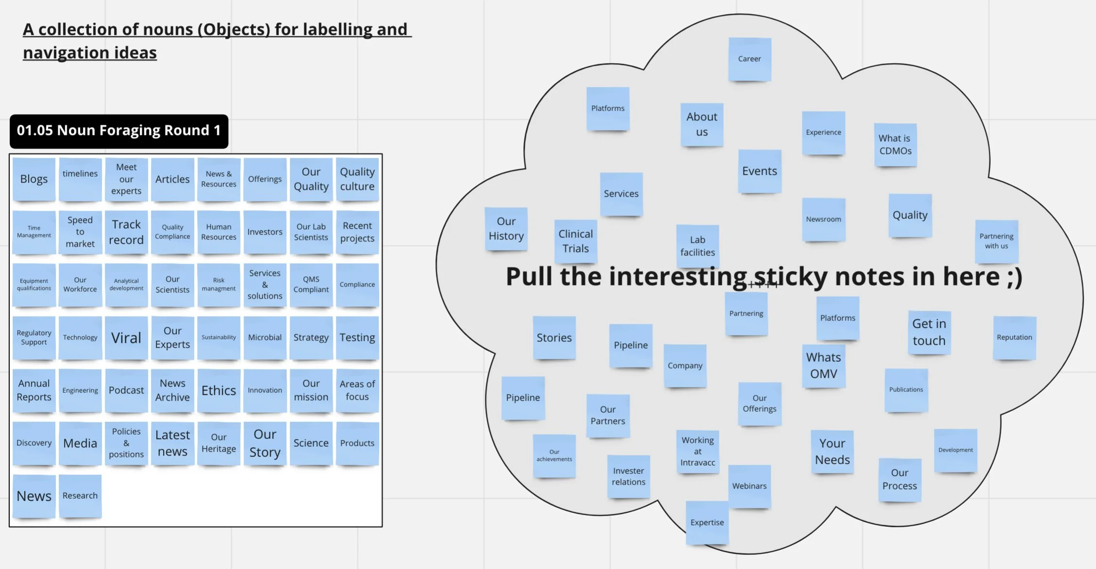 Collection of sticky notes on a wall divided into a large cloud-shaped area and a rectangular area. The cloud contains navigation ideas and notes like 'Our History,' 'Services,' 'Pipeline,' and 'Partnering with us.' The rectangular area has multiple rows of assorted blue sticky notes with labels such as 'Blogs,' 'Meet our experts,' 'News & Resources,' 'Quality,' 'Viral,' 'Ethics,' 'Science,' 'Development,' and many more, representing different objects or ideas for labeling and navigation.