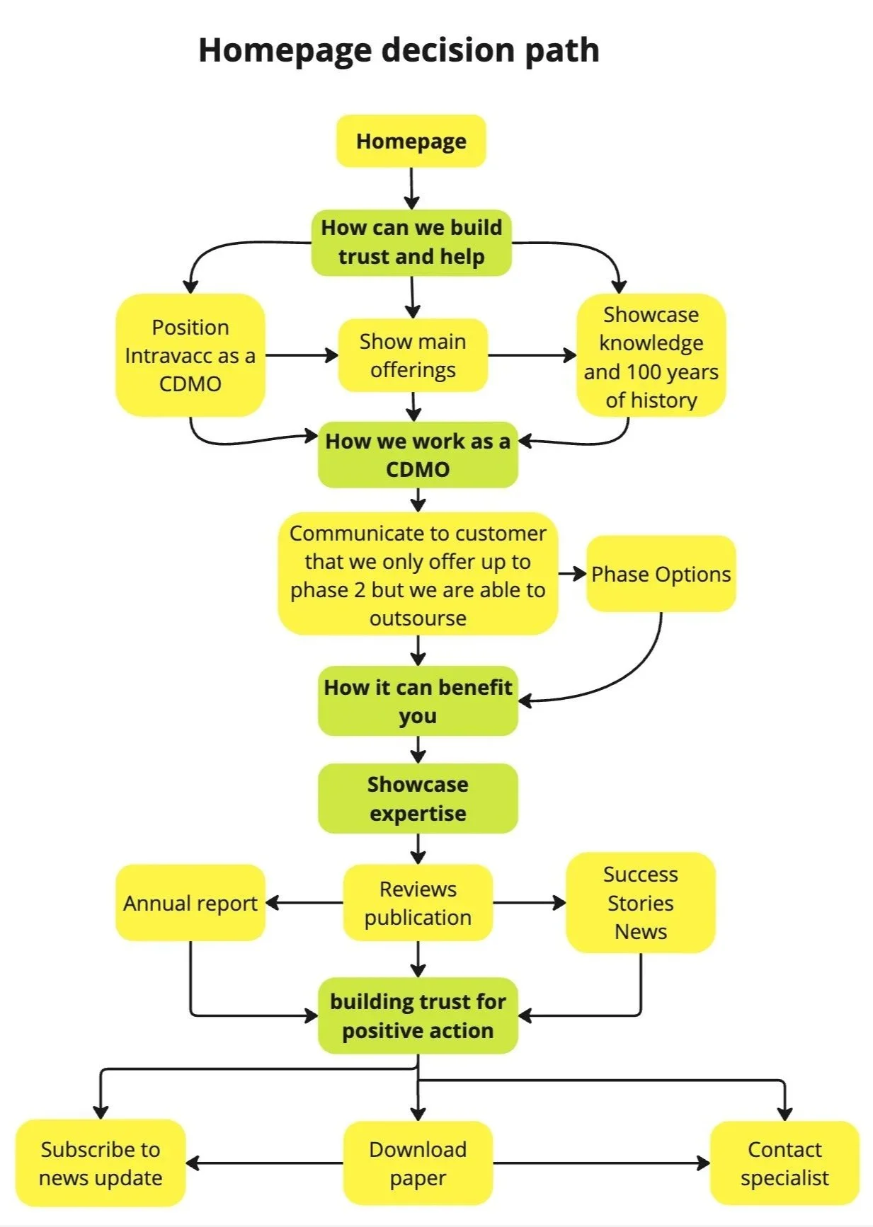 Flowchart titled 'Homepage decision path' illustrating steps and options for homepage content, including building trust, showcasing knowledge, communicating services, and sharing success stories.