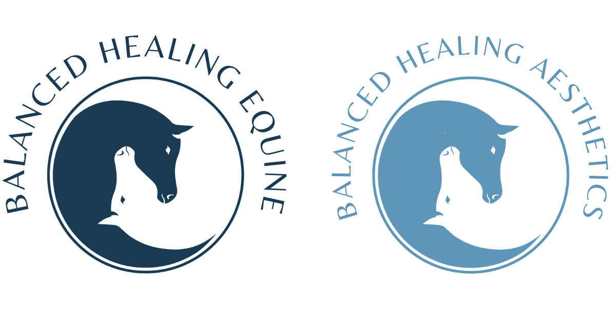 Balanced Healing Equine &amp; Aesthetics