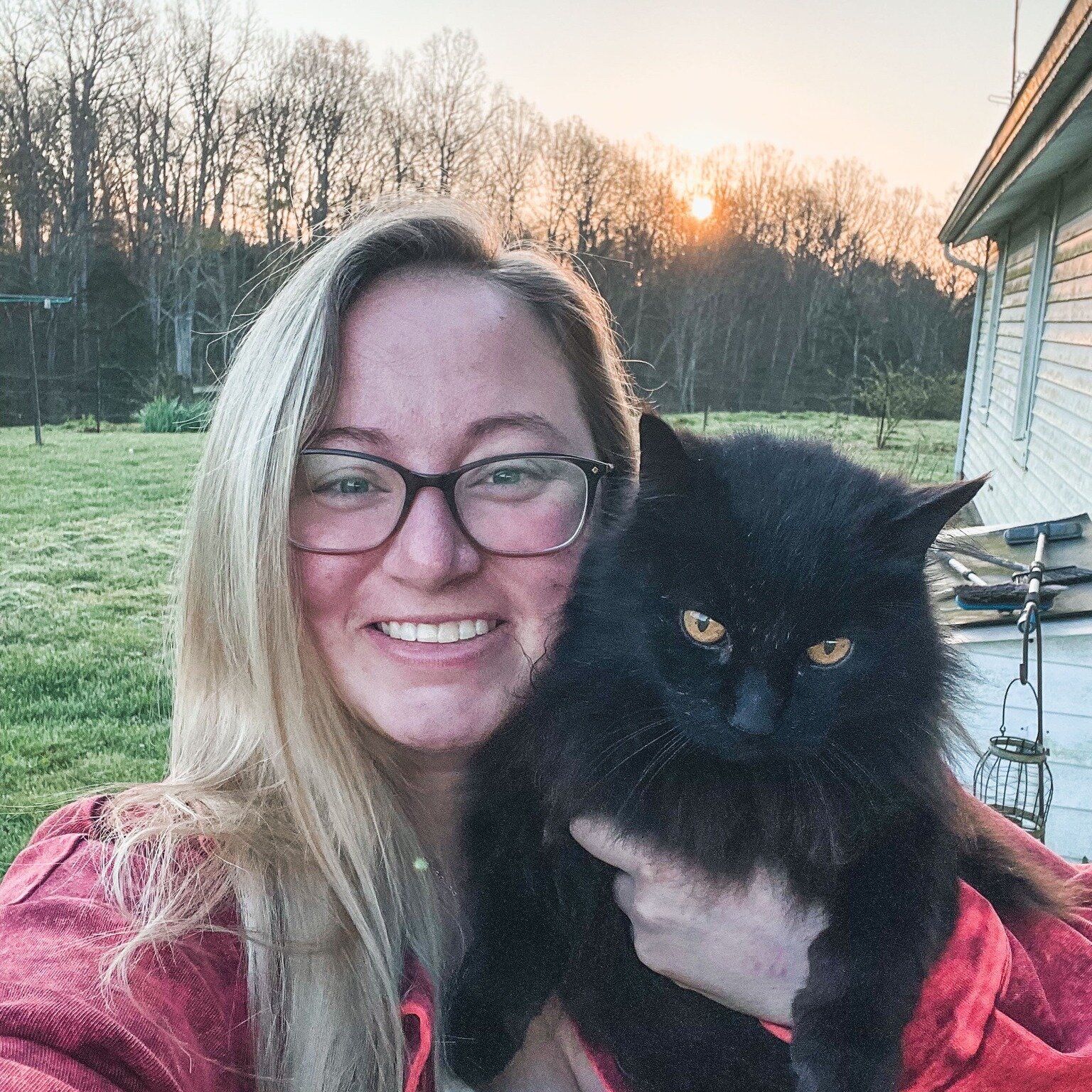 Our ban cat, Salem. He has been around for a while, but you would never know that. This cat still acts like a kitten! We love Salem and wanted to show him off this weekend!

https://www.diamondbfarm1994.com