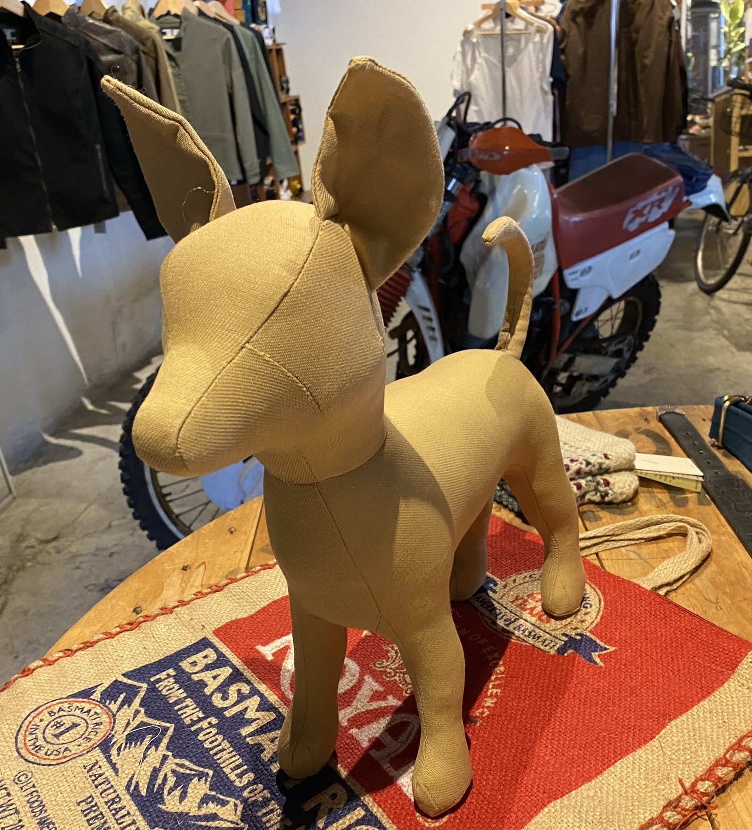 Mini Schnauzer Dog Mannequin — Tippy Dog Mannequins