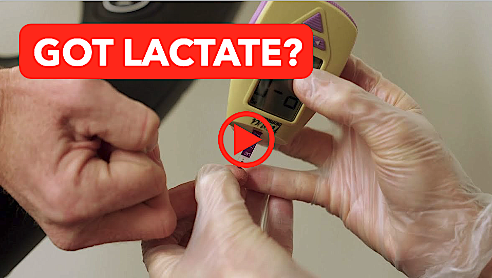 lactate testing