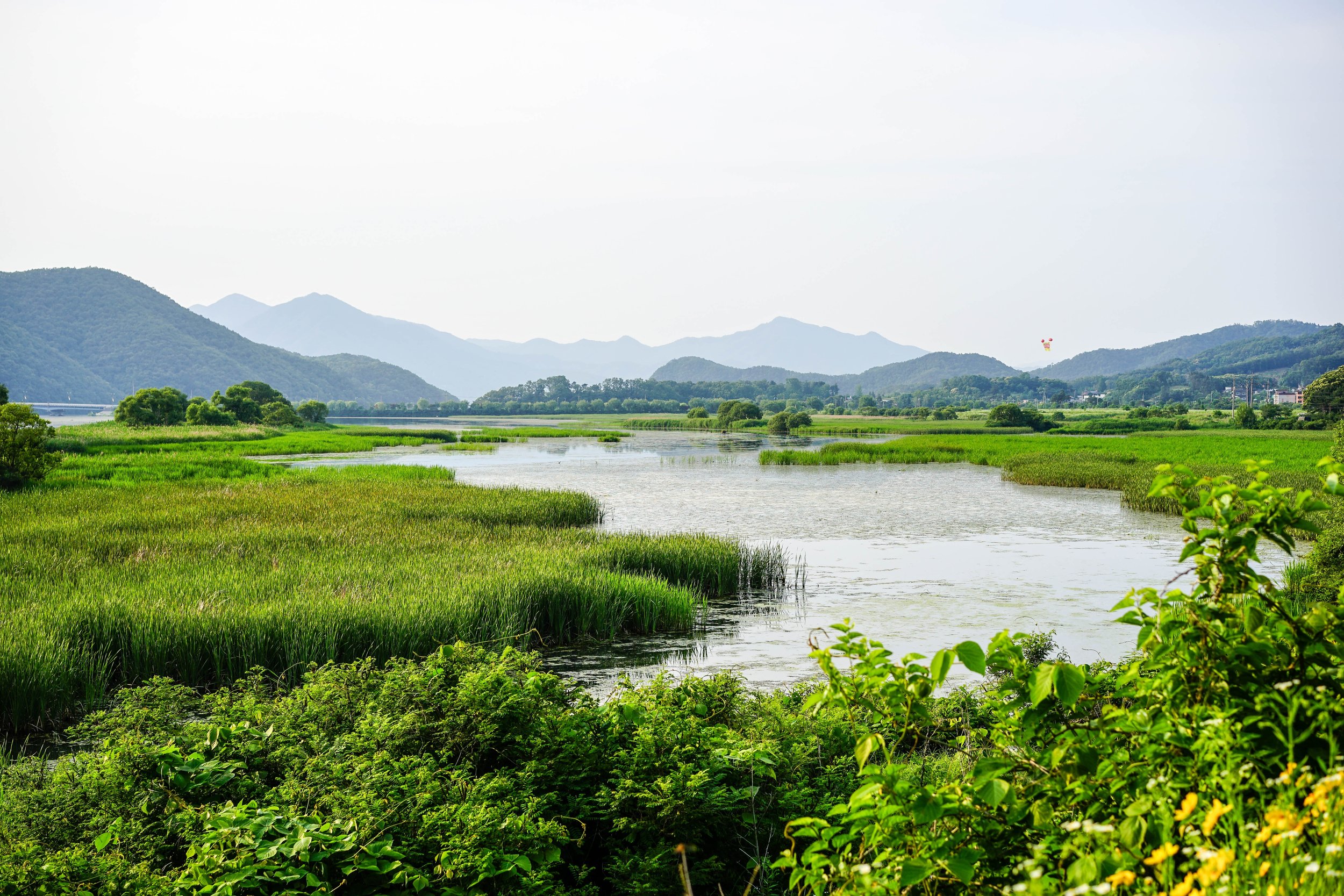 Biodiversity and You