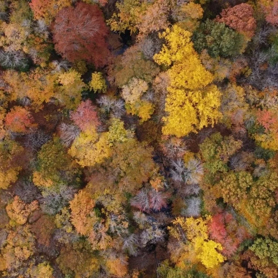 RootBound 2024 Autumn Newsletter