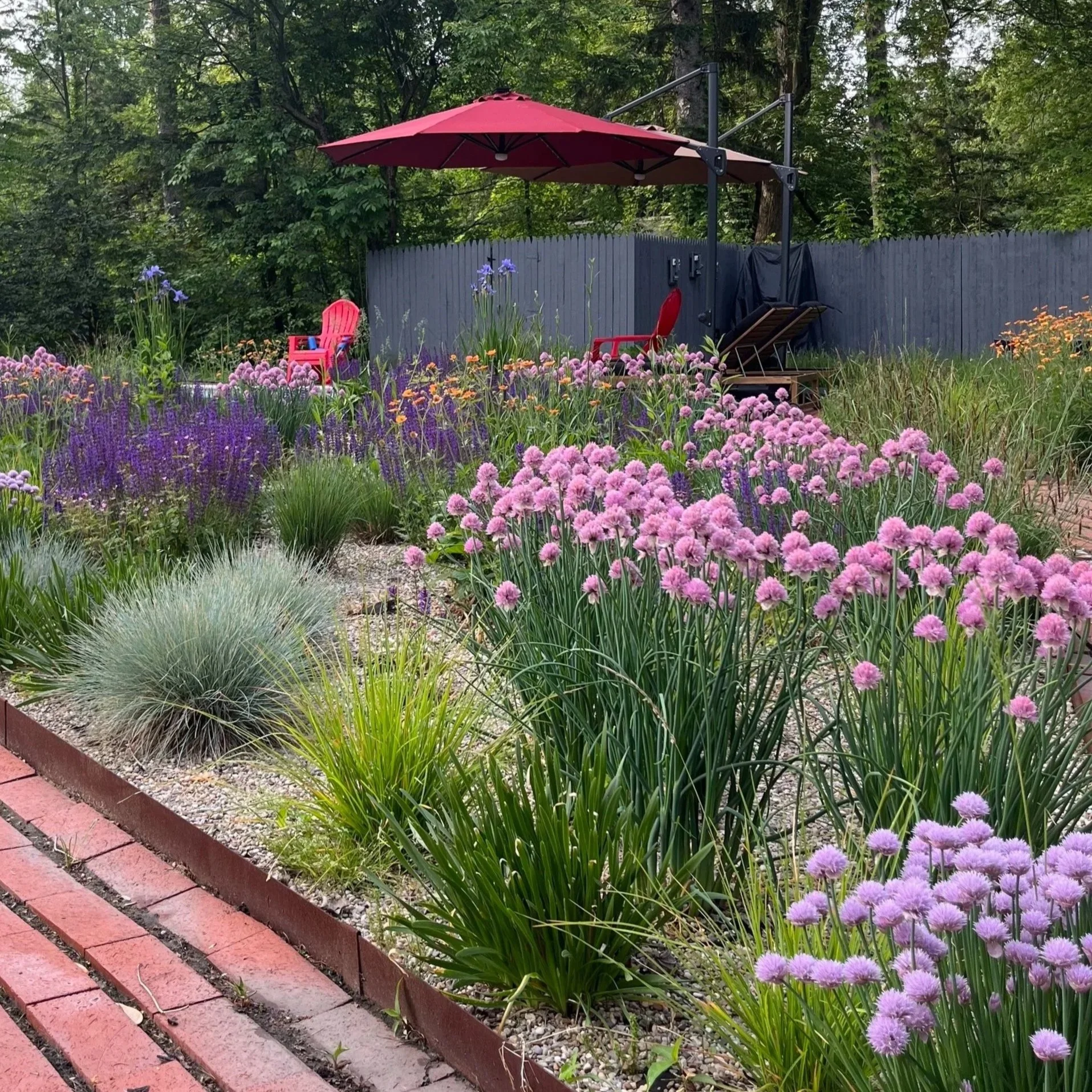 RootBound 2024 Summer Newsletter