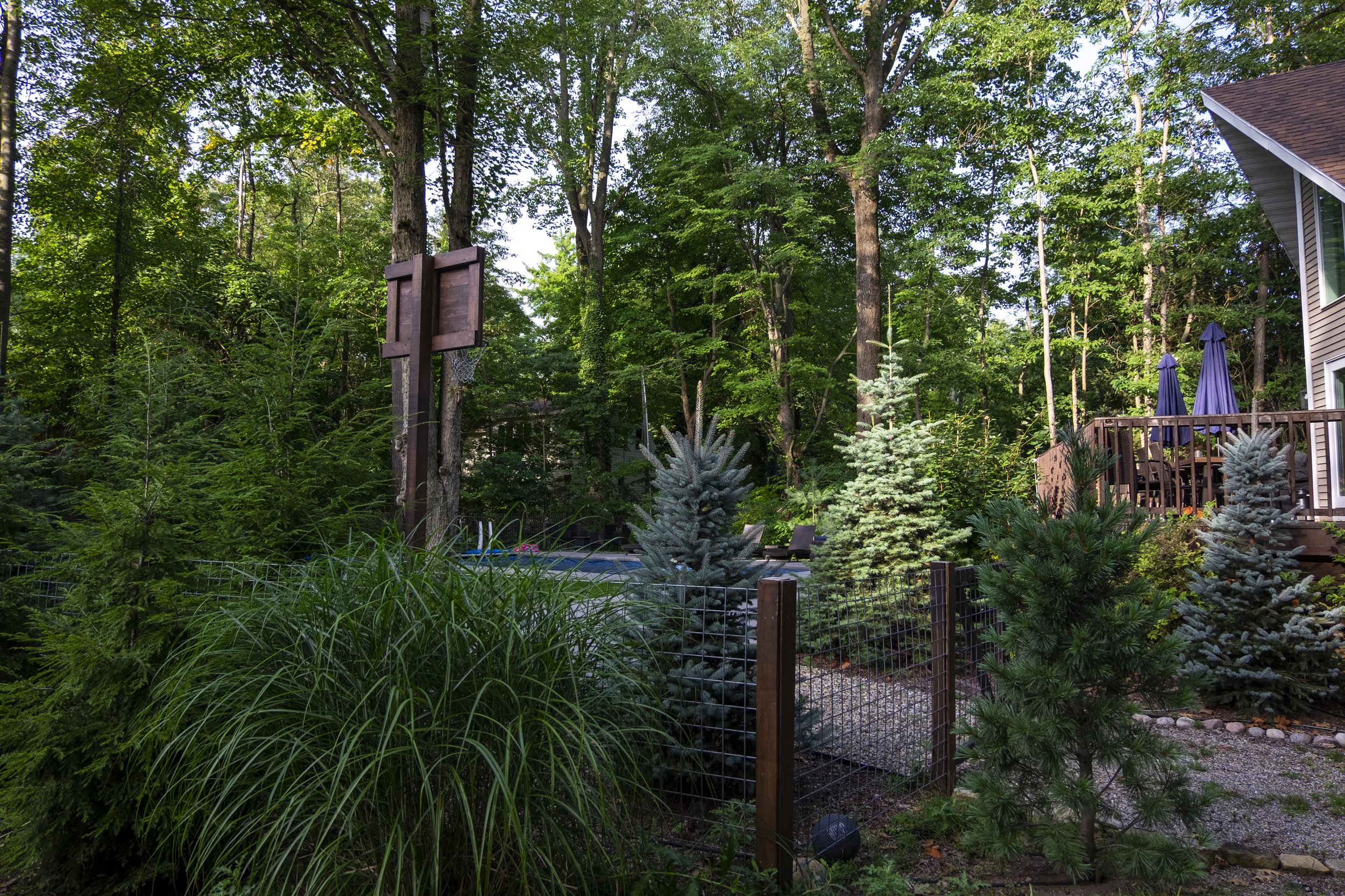 DSCF0790.jpg