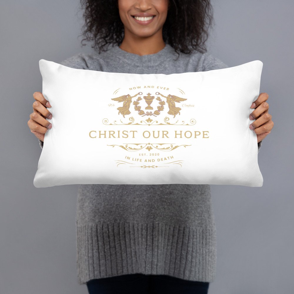 all-over-print-basic-pillow-20x12-front-659b282d0486b.jpg