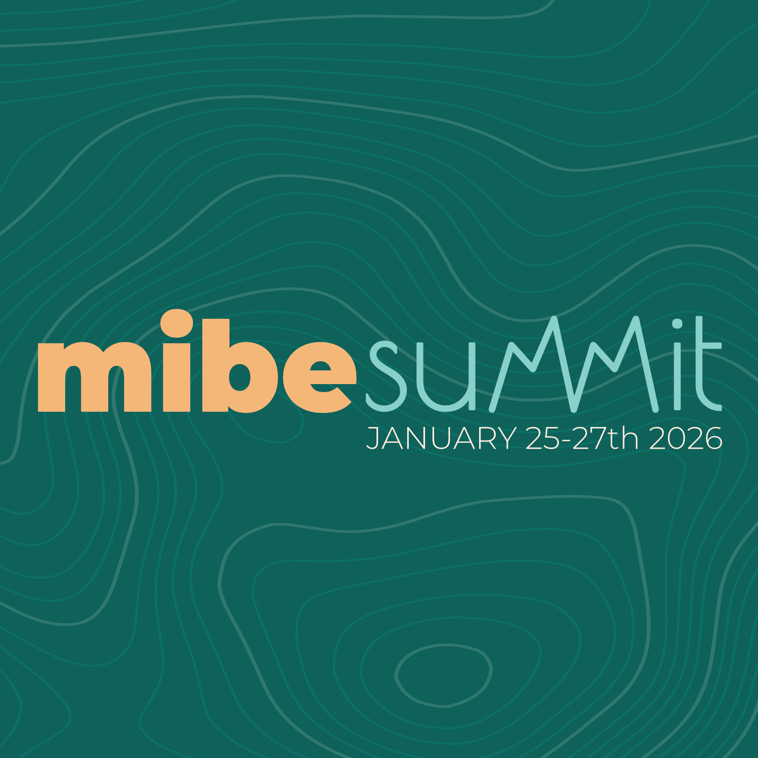 MIBE Summit