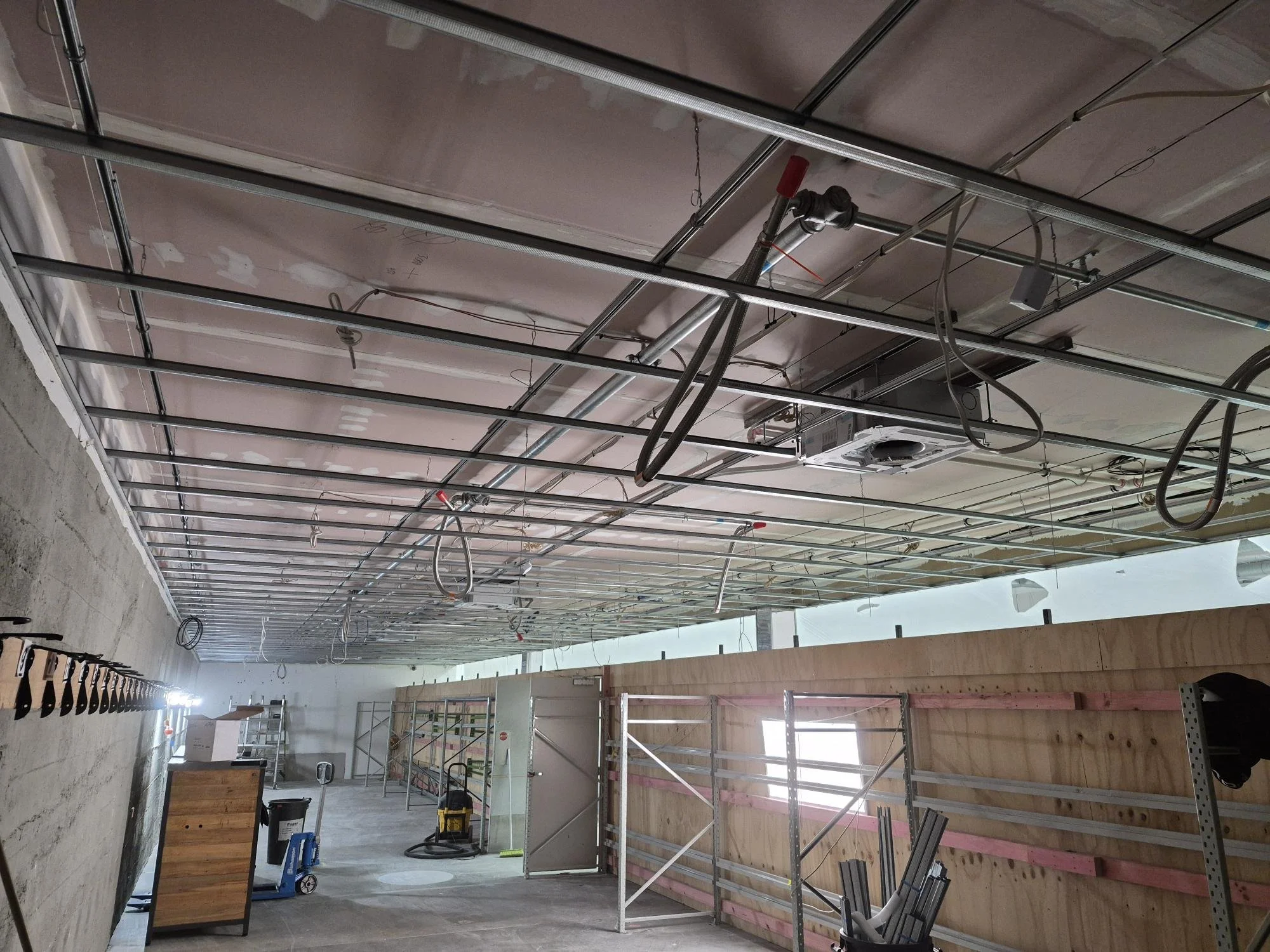 Ceiling Repair