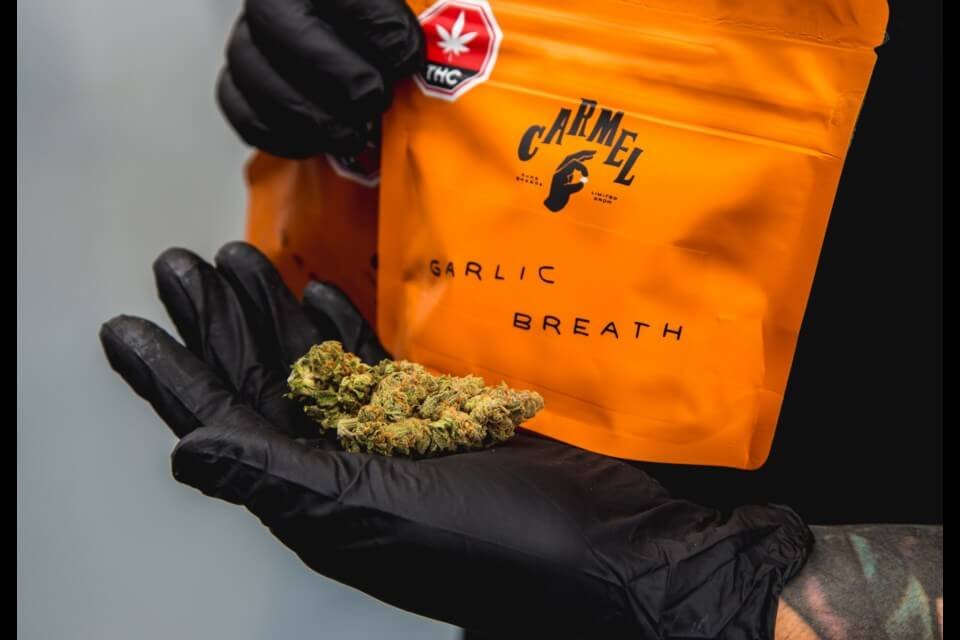 Garlic breath by Carmel cannabis