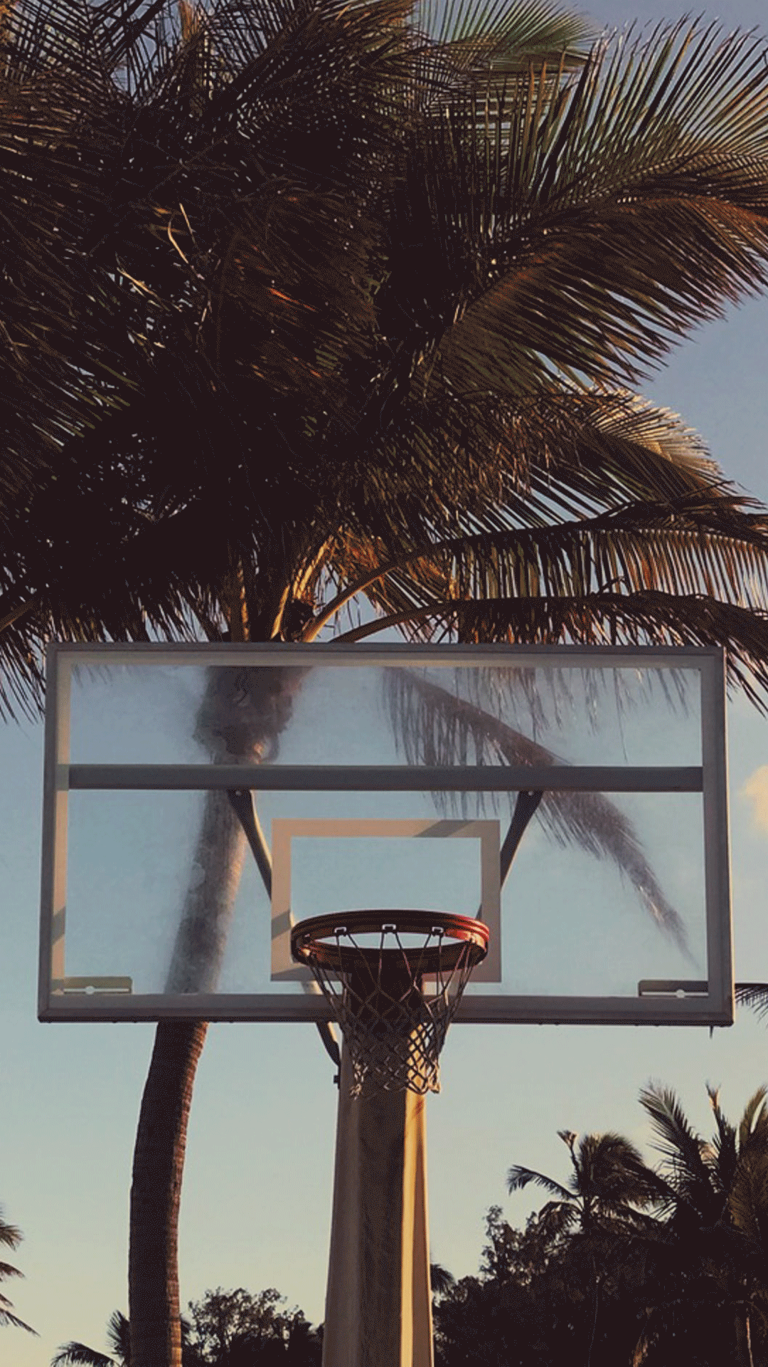 MSB_GIF.gif
