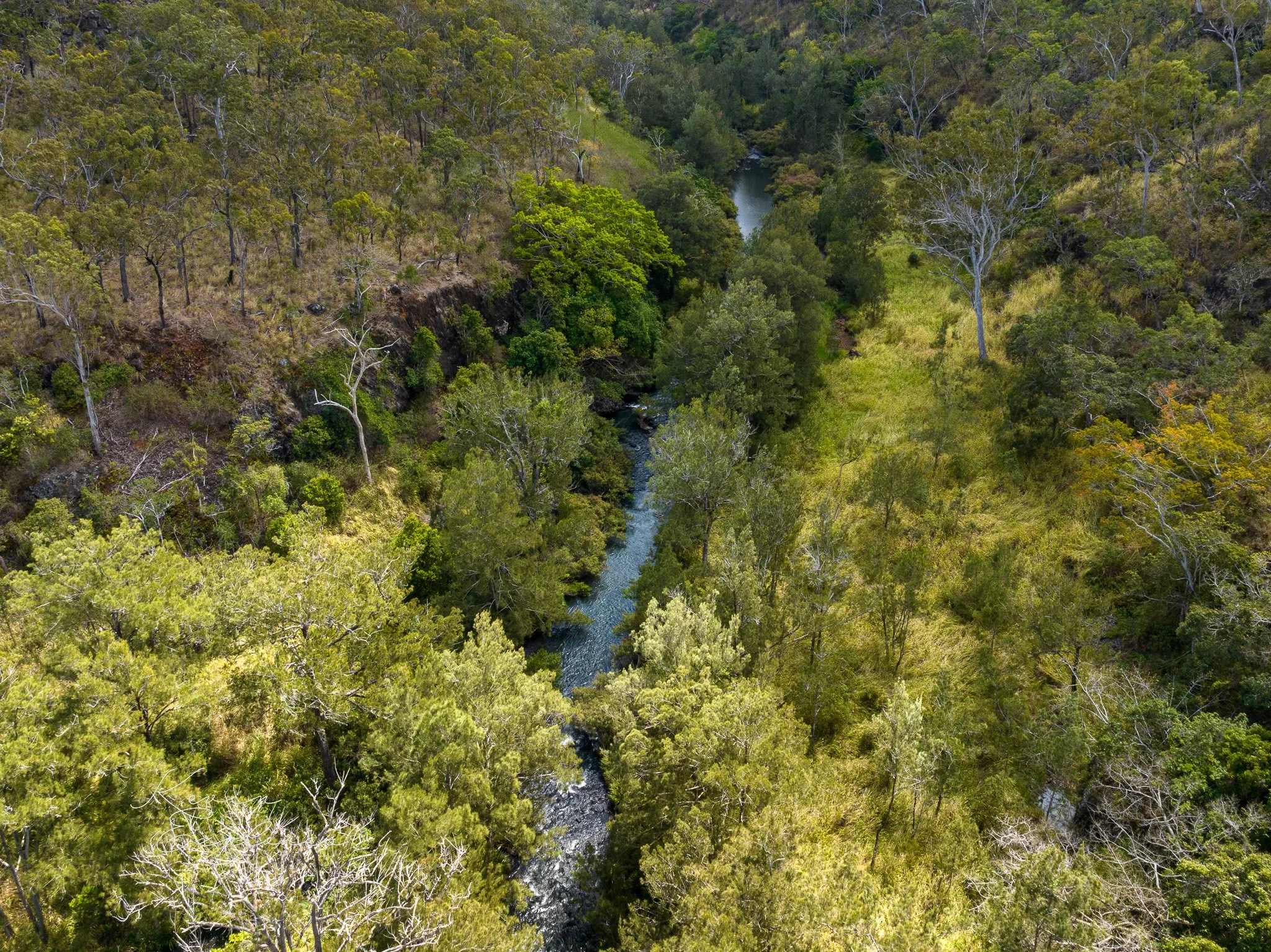 DJI_0978-2.jpg