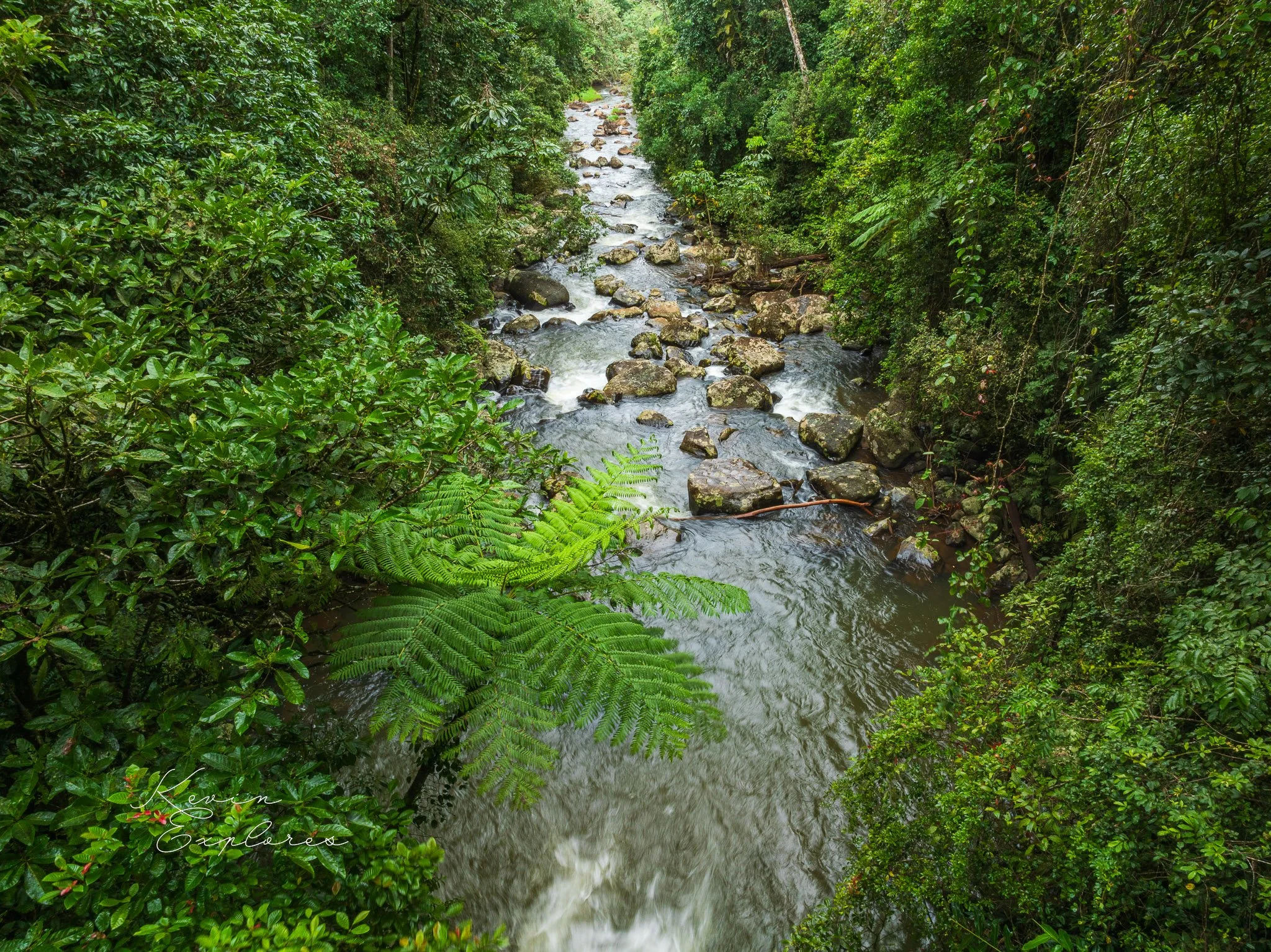 DJI_0496-2.jpg