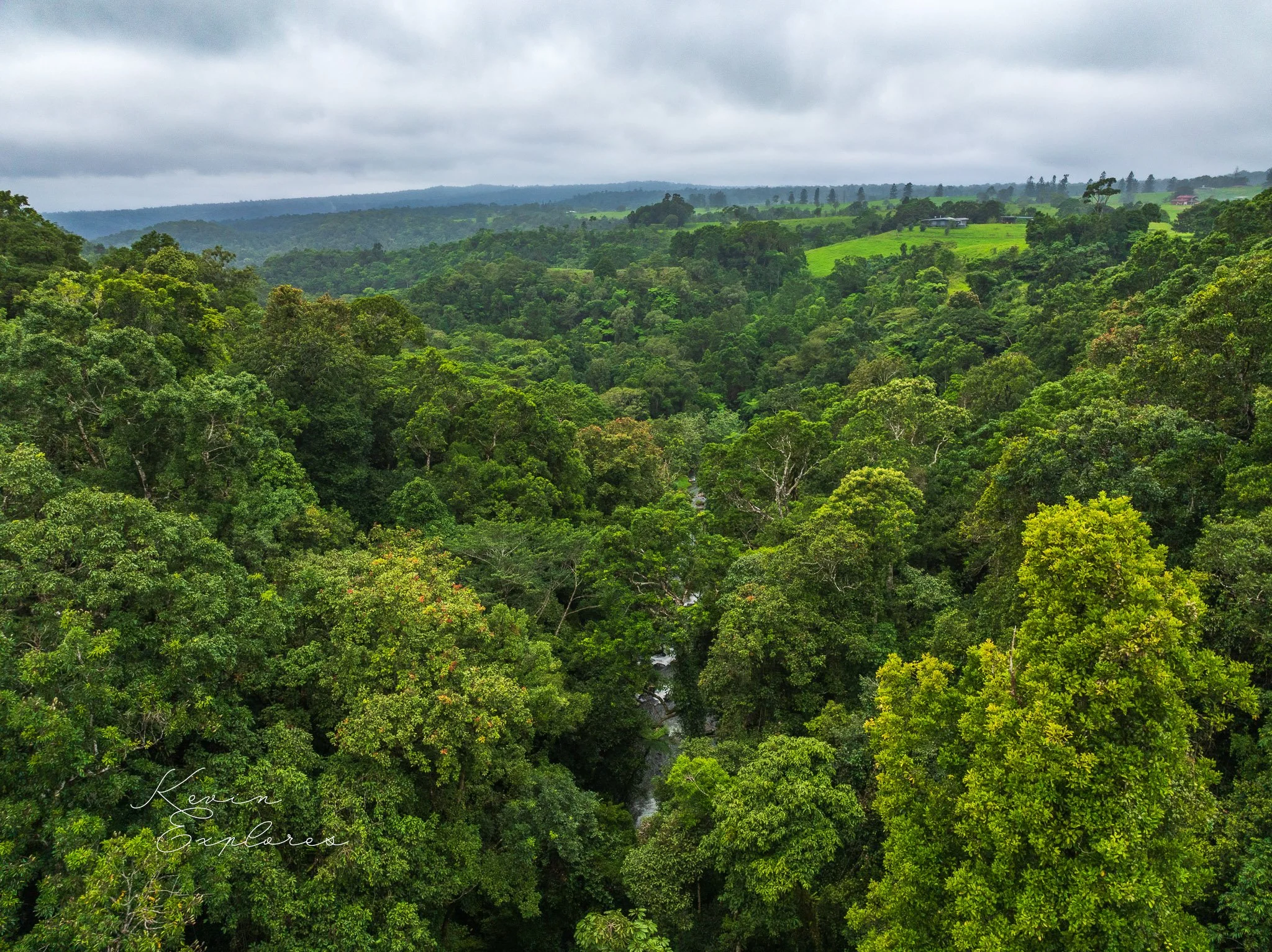 DJI_0516-2.jpg