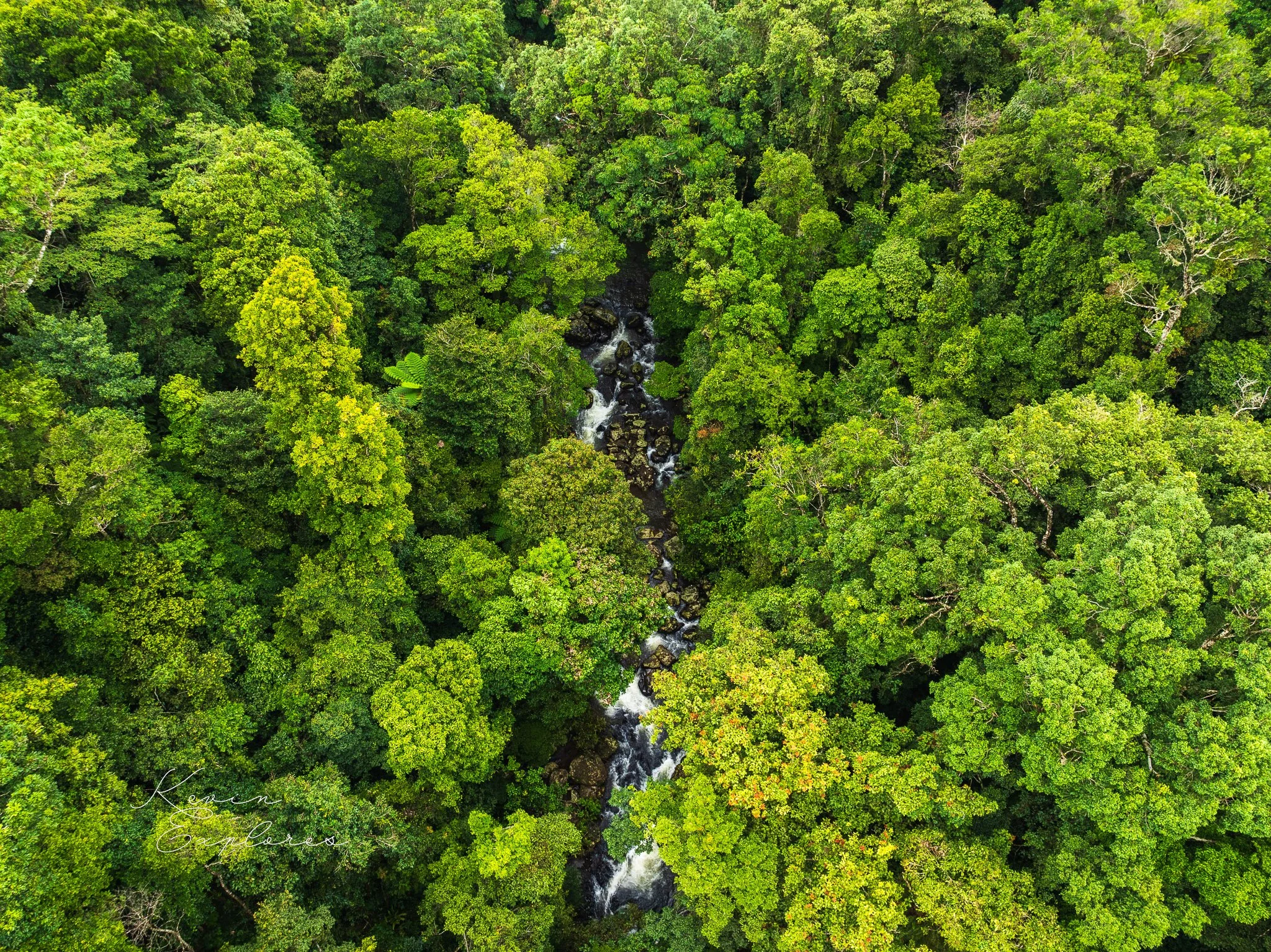 DJI_0515-2.jpg