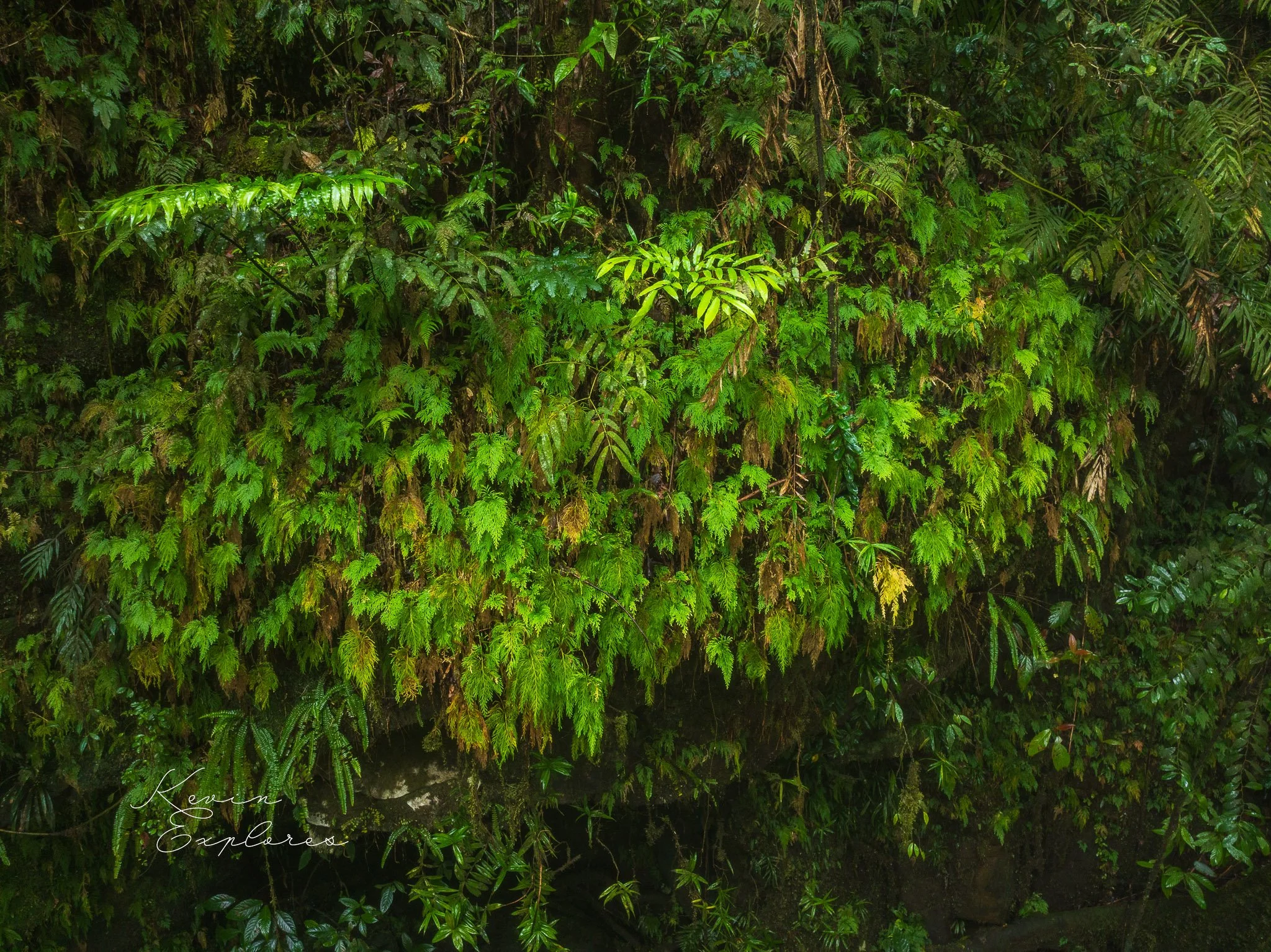 DJI_0529-3.jpg