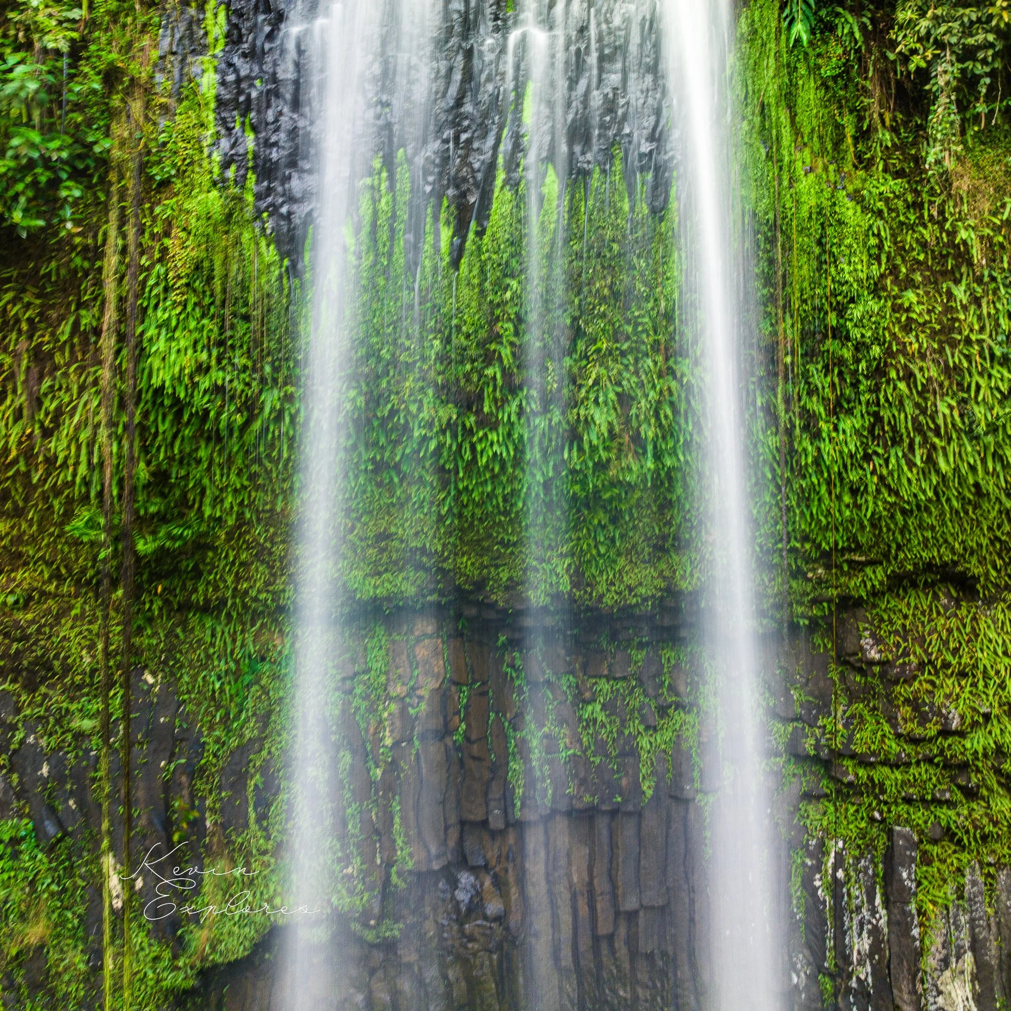 DJI_0765.jpg