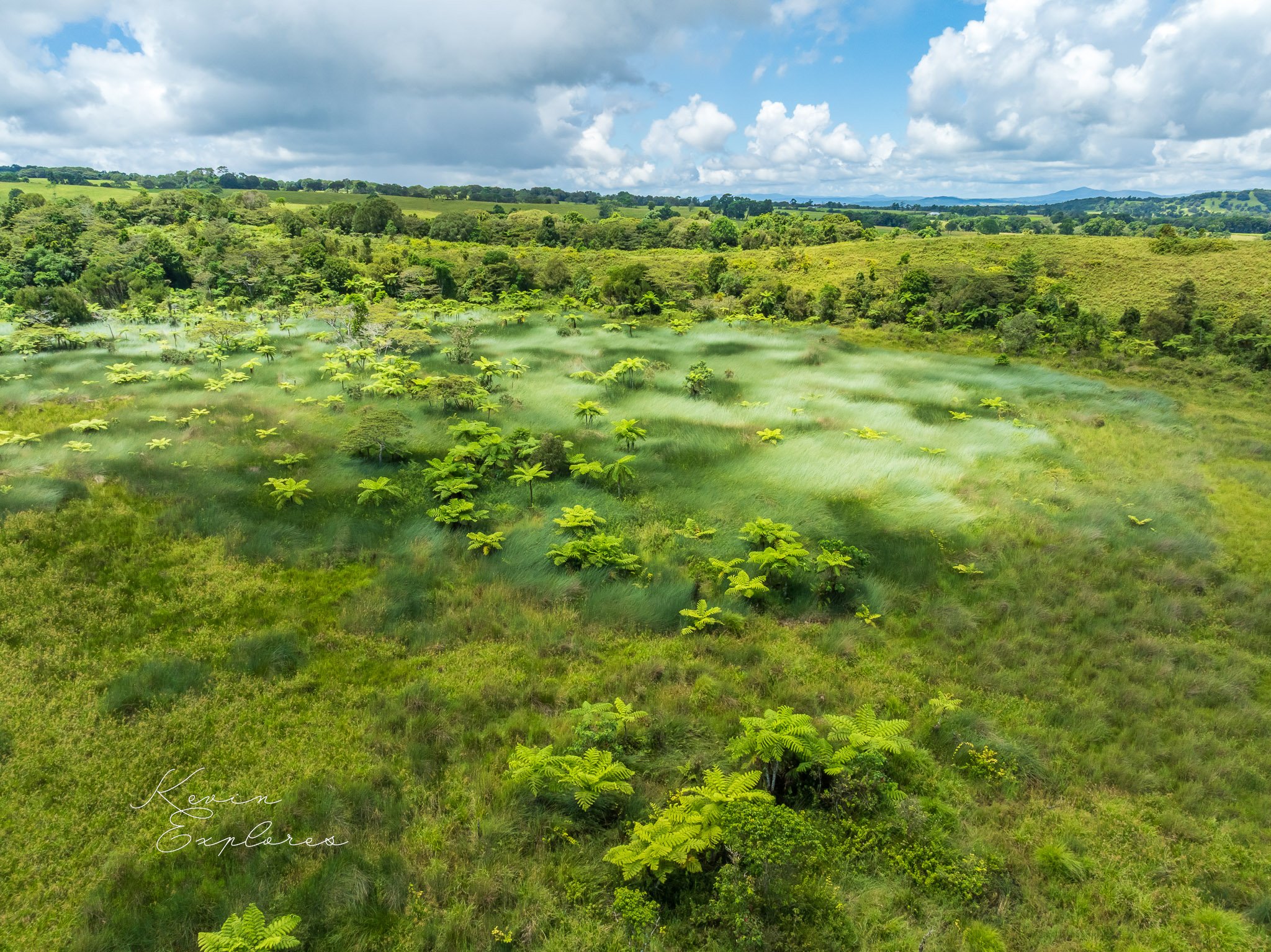 DJI_0699.jpg