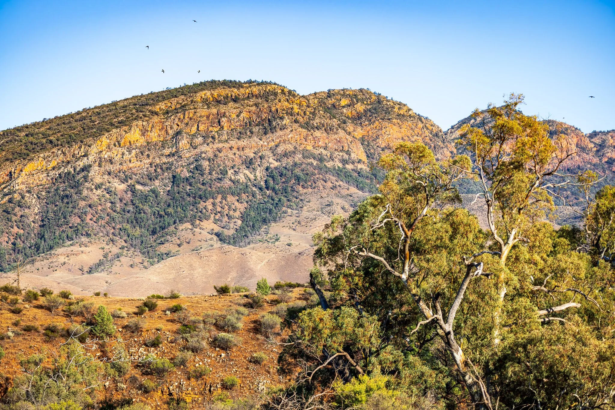 1J0A1394-Edit-3.jpg