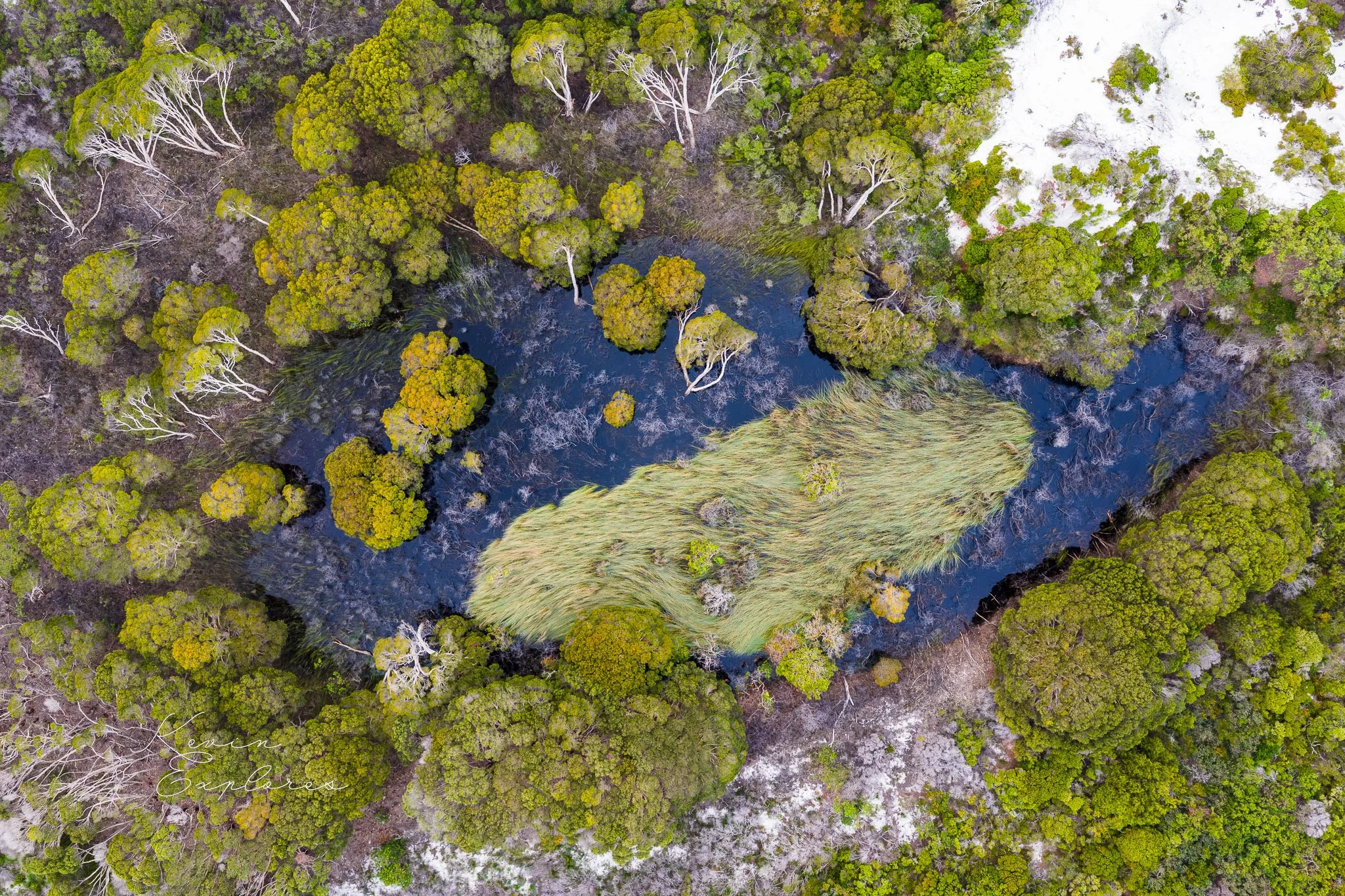 DJI_20250802072338_0064_D.jpg