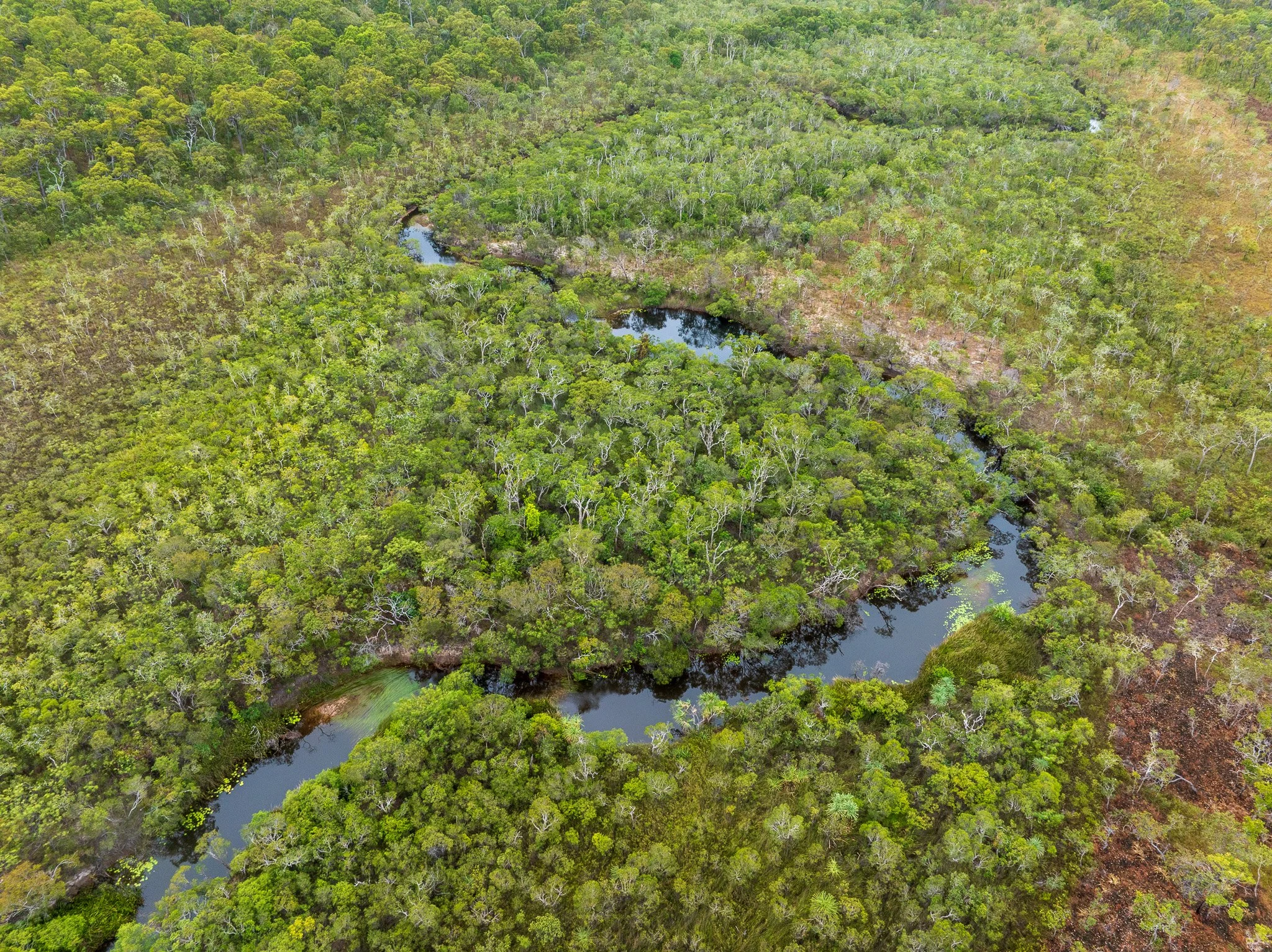 DJI_0479.jpg