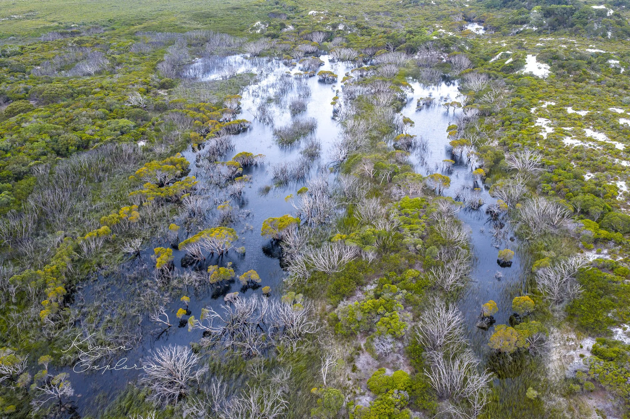 DJI_20250802070754_0051_D.jpg