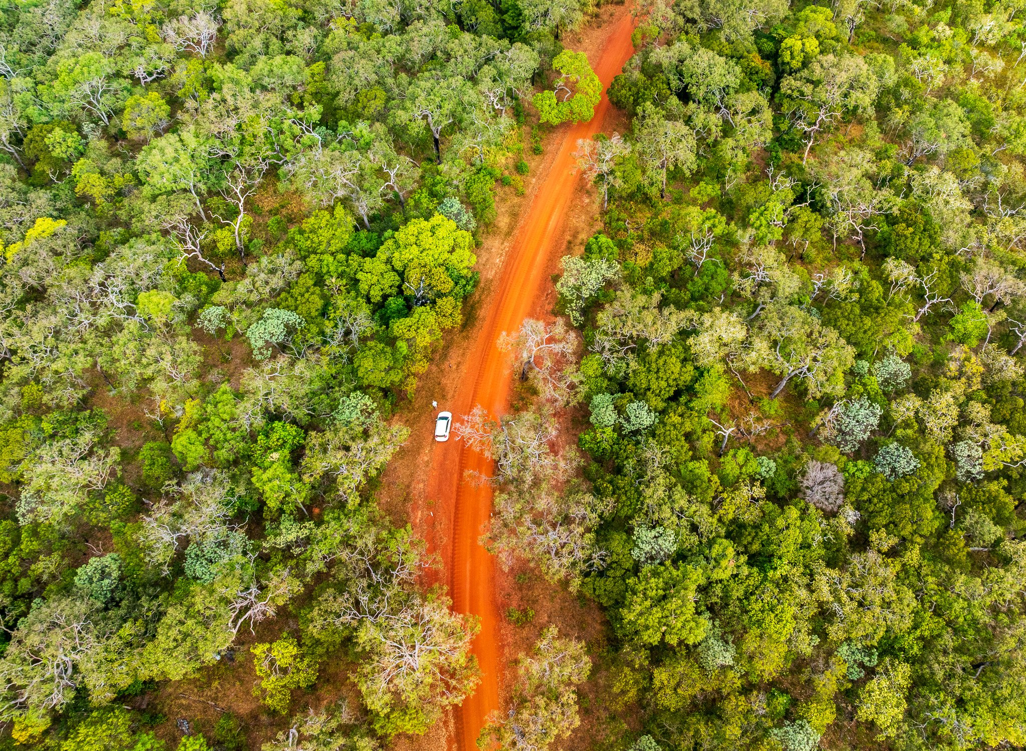 DJI_0266-3.jpg