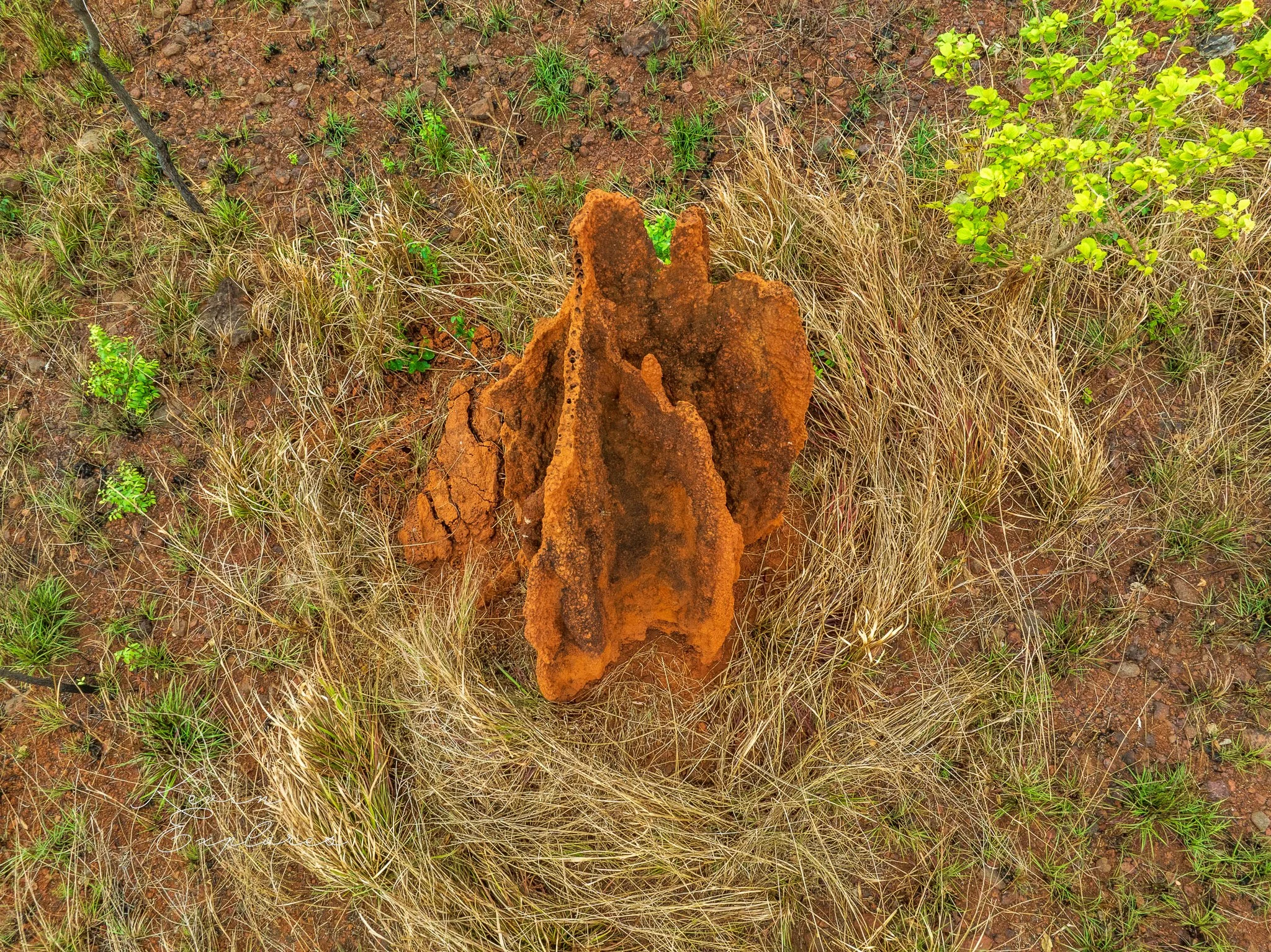 DJI_0477-3.jpg