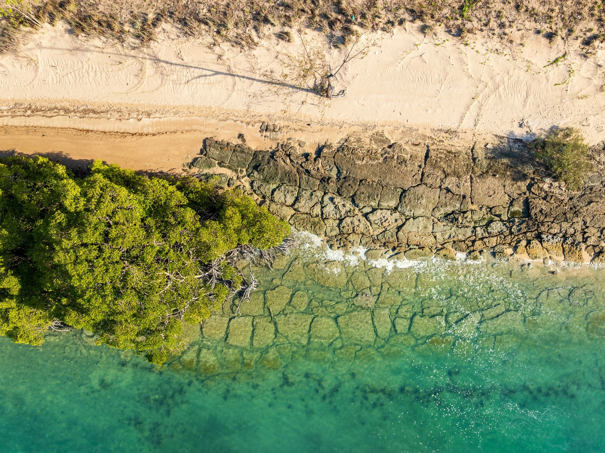 DJI_0872-2.jpg