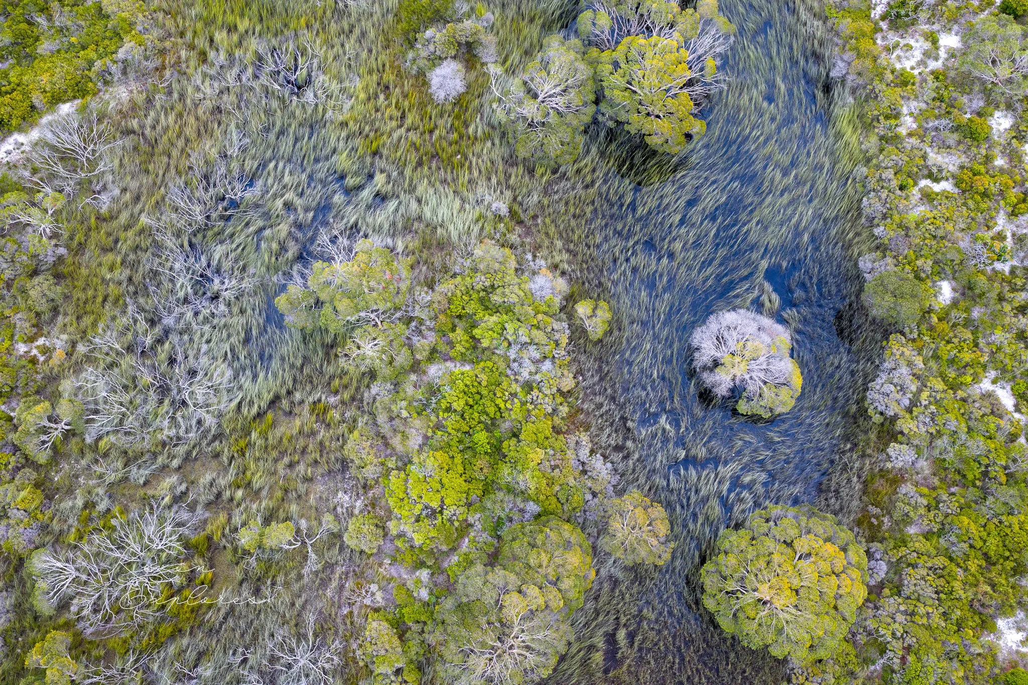 DJI_20250802070920_0053_D.jpg