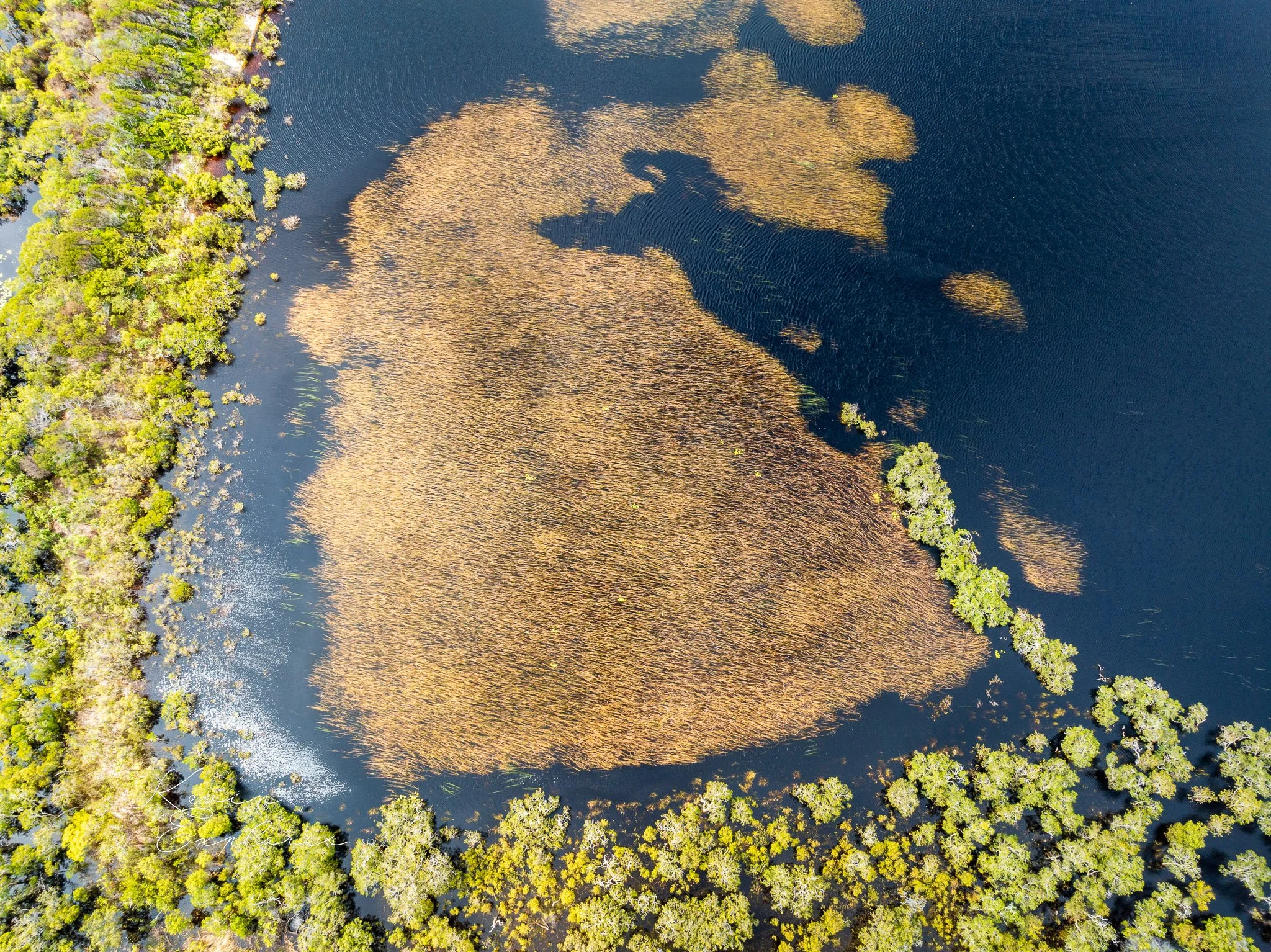 DJI_0263.jpg