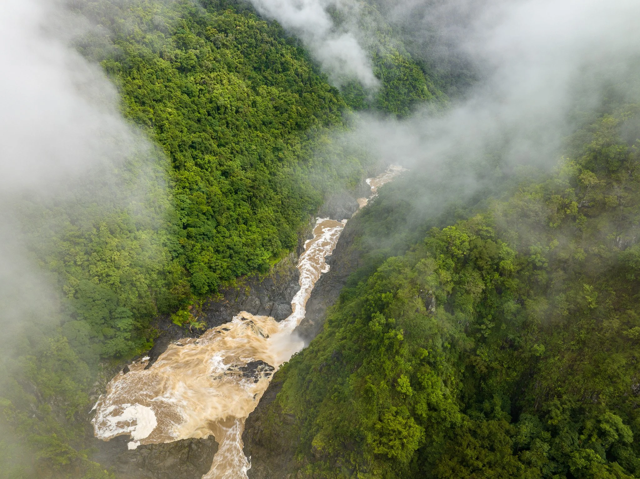DJI_0601.jpg