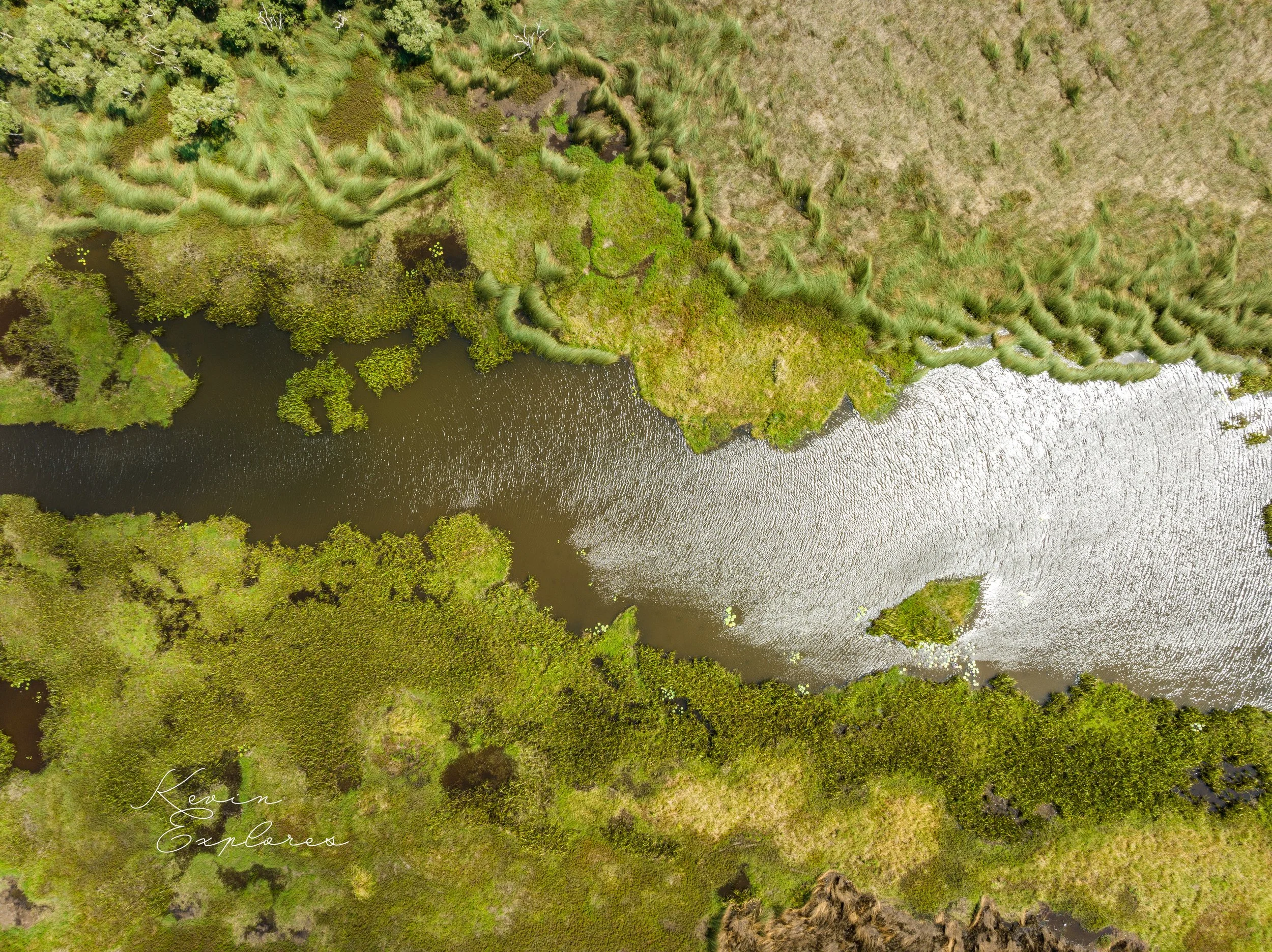 DJI_0930.jpg
