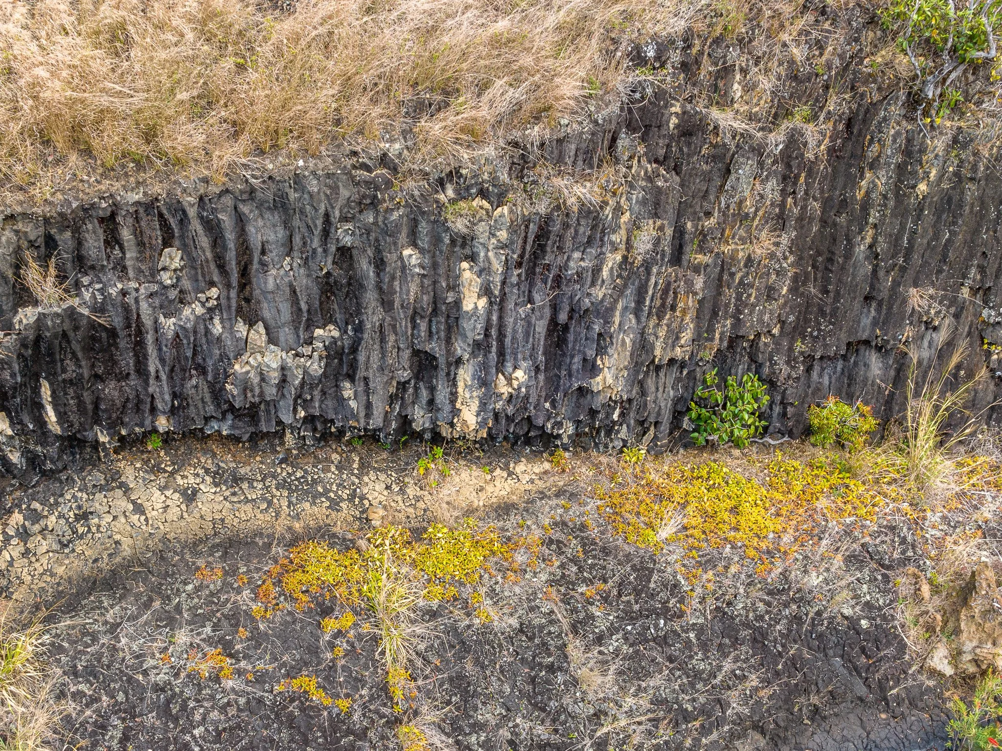 DJI_0981-2.jpg