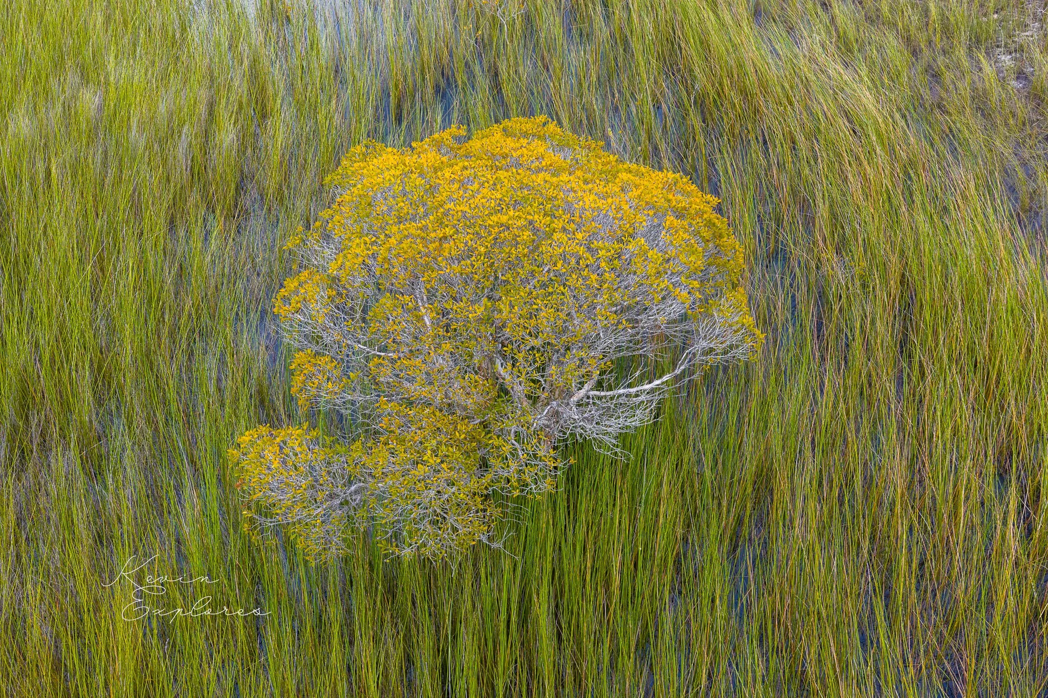 DJI_20250802080613_0091_D-2.jpg