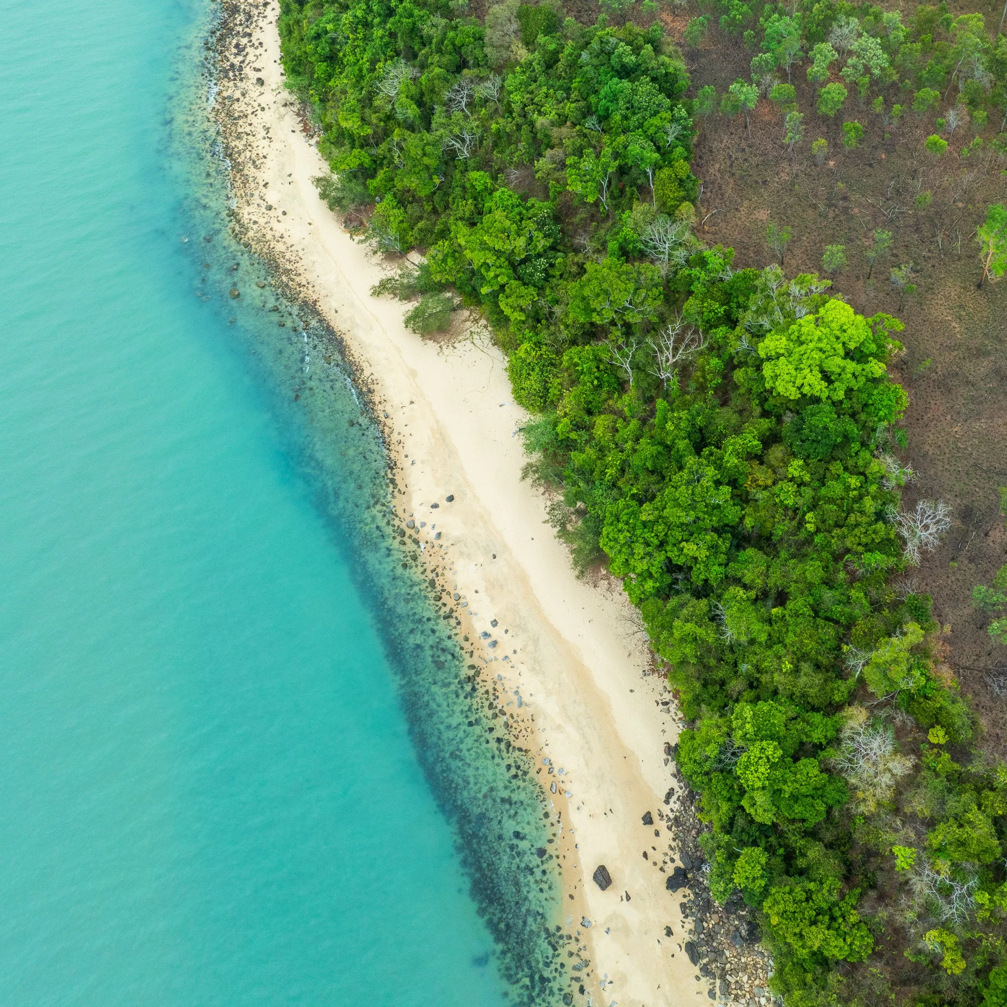 DJI_0472.jpg