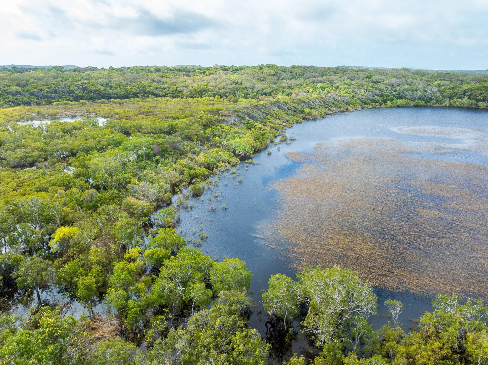 DJI_0260.jpg
