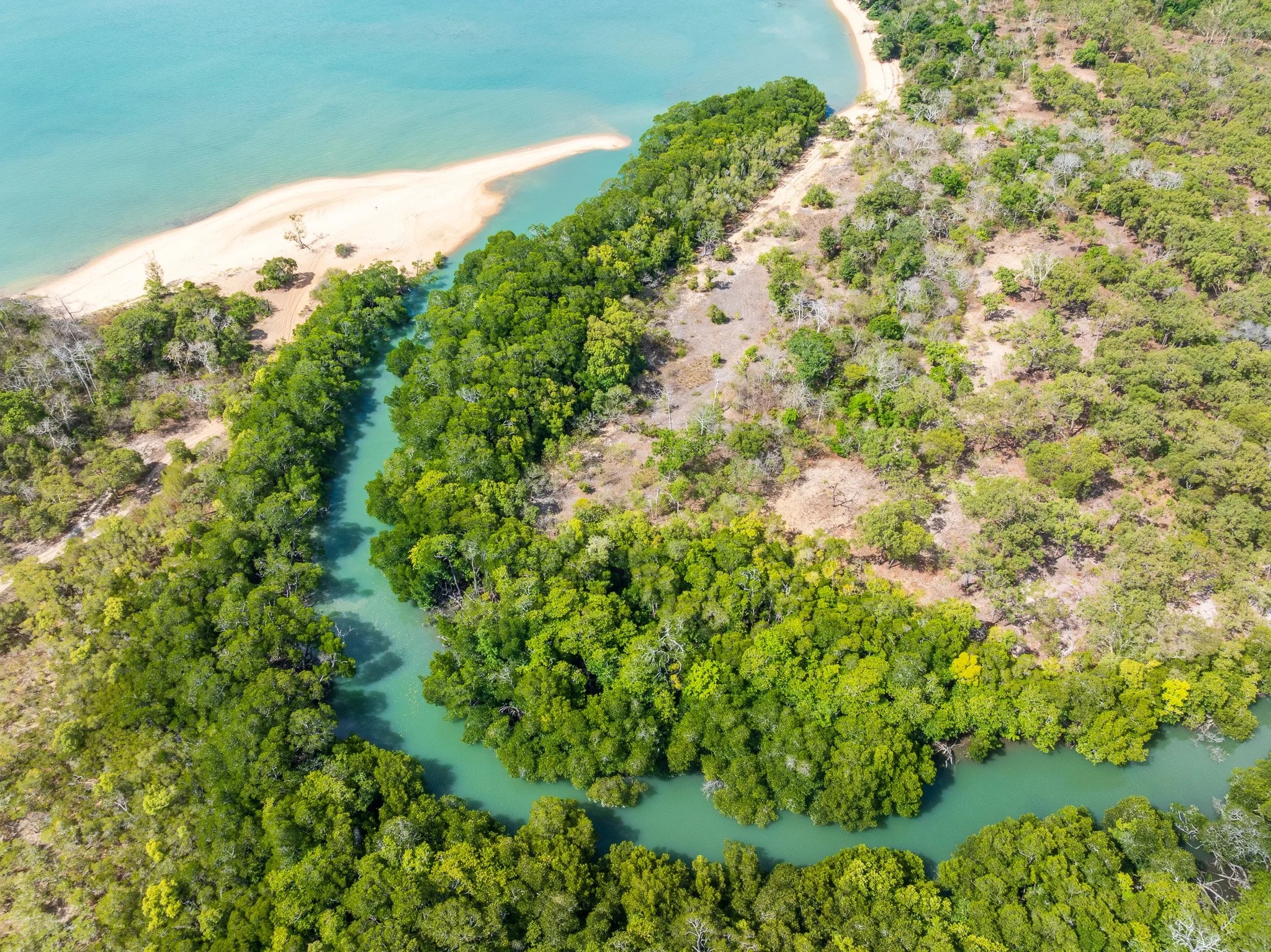 DJI_0884.jpg