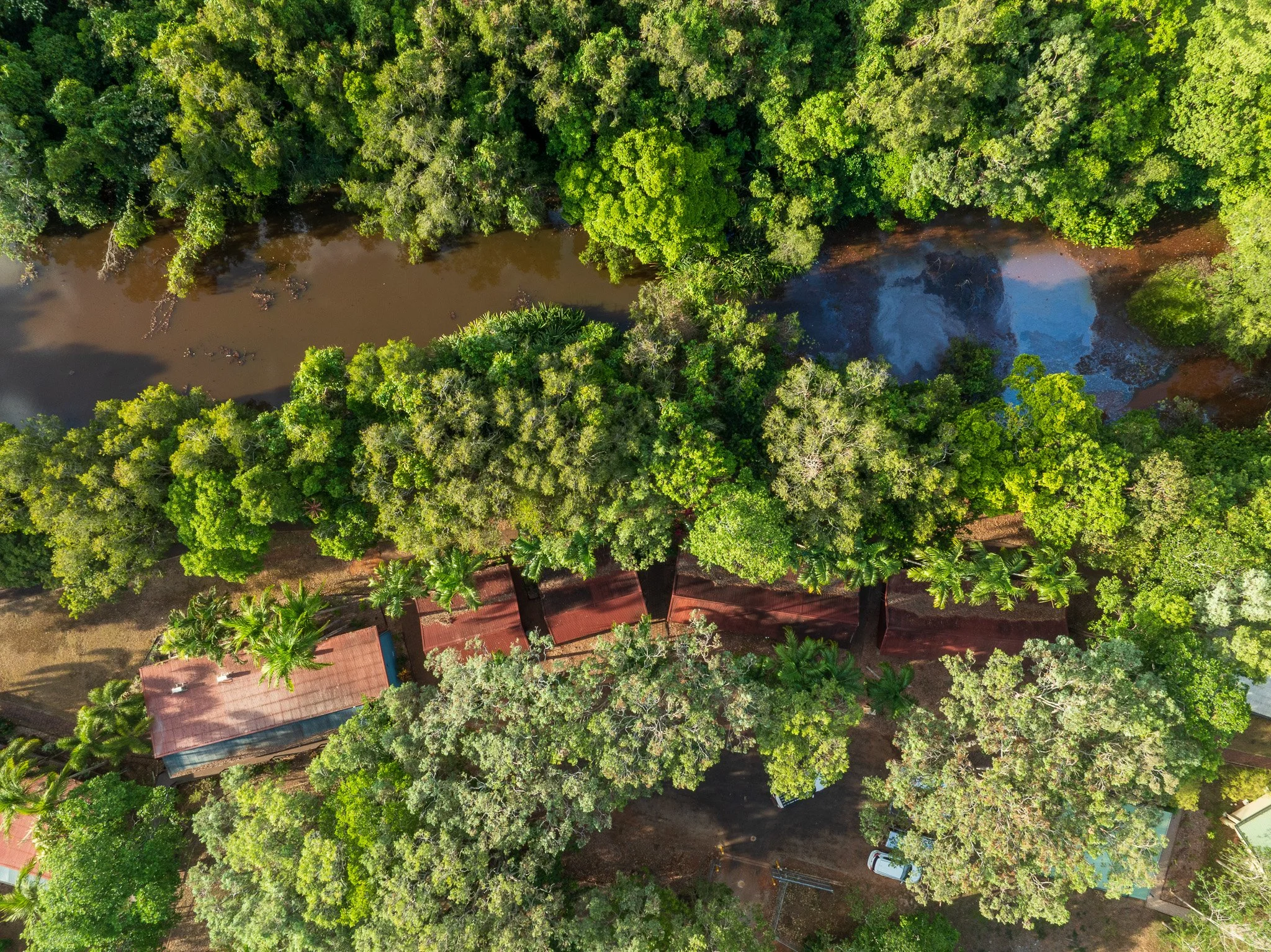 DJI_0890.jpg