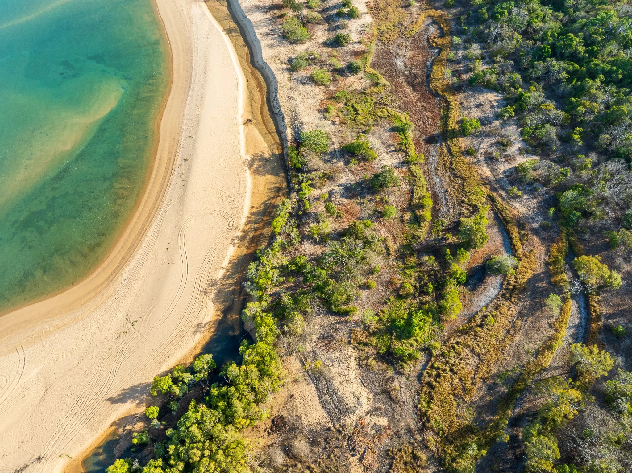 DJI_0868-2.jpg